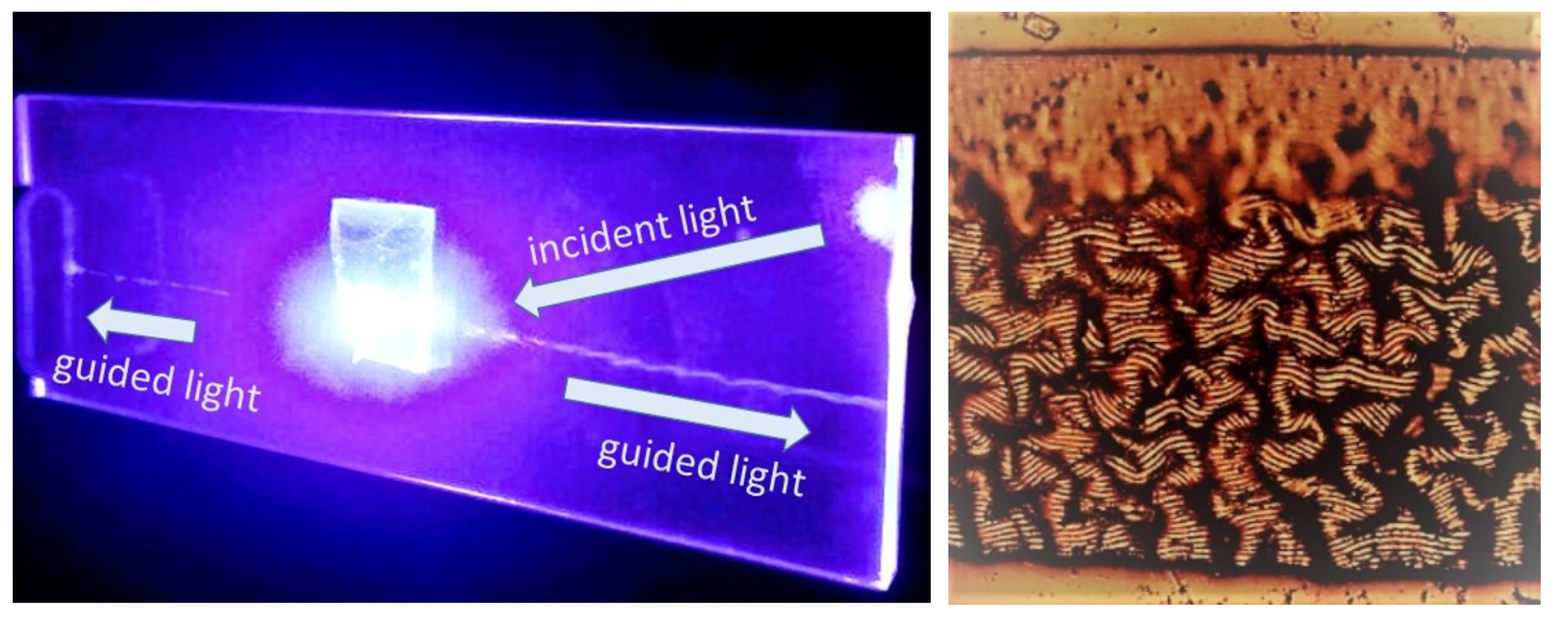 Nanomaterials 13 01347 g009
