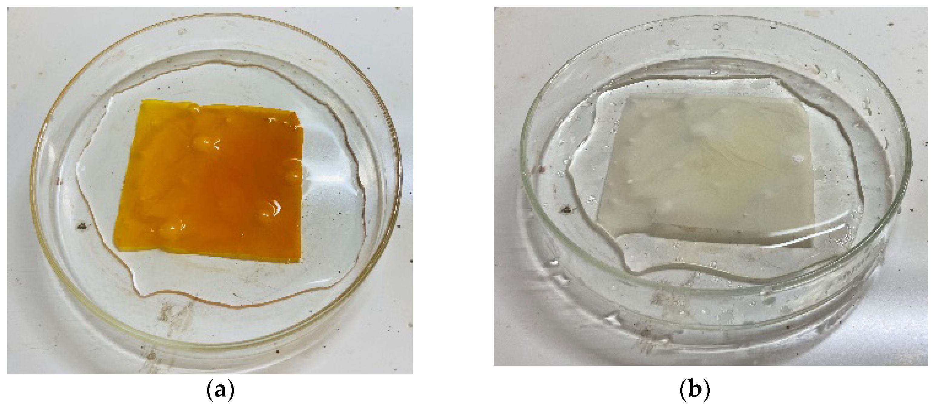 Nanomaterials 13 01350 g002