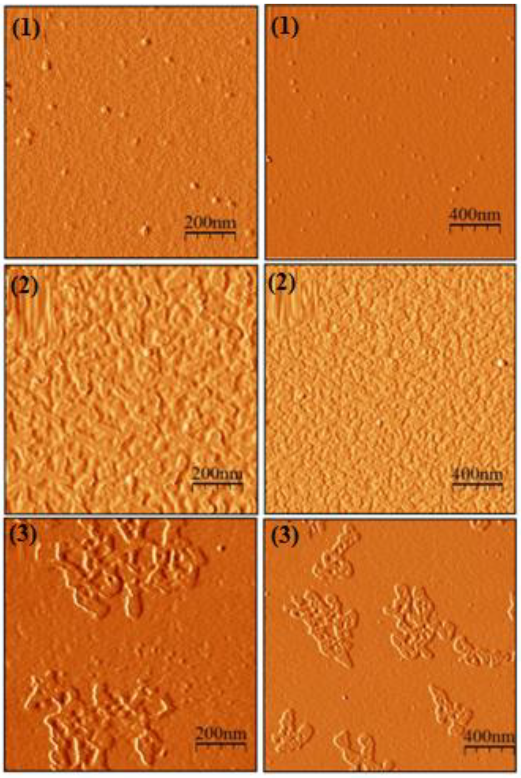 Nanomaterials 13 01351 g001