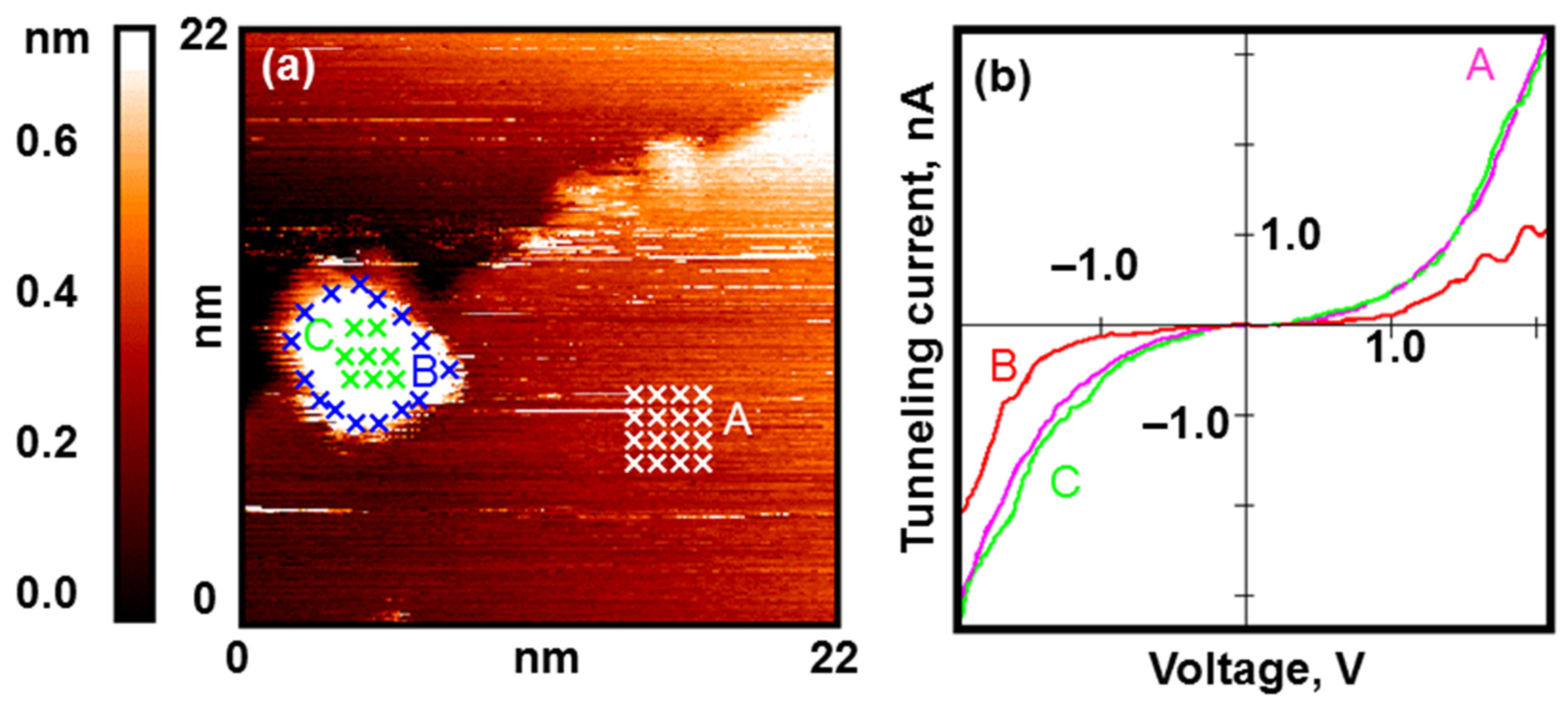 Nanomaterials 13 01365 g002