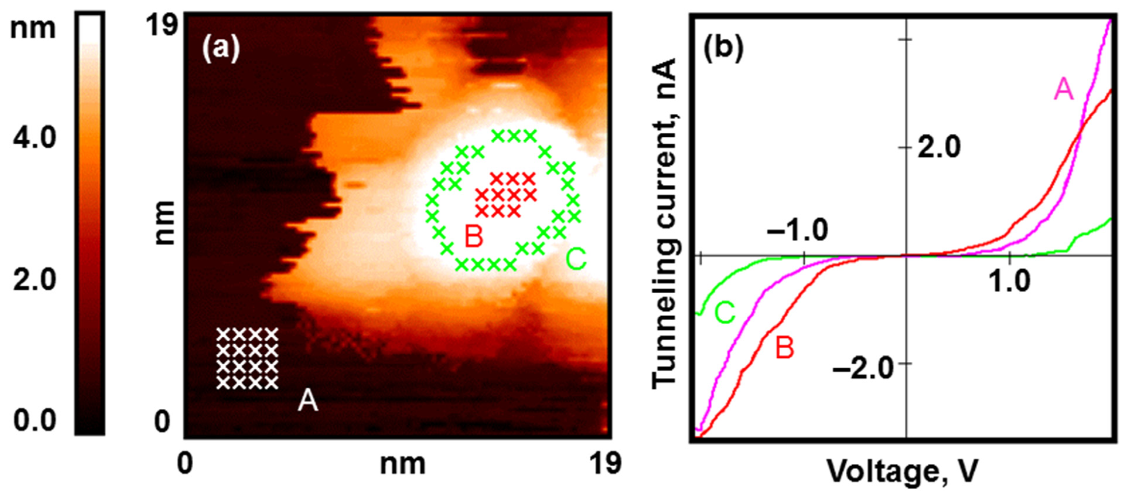 Nanomaterials 13 01365 g009