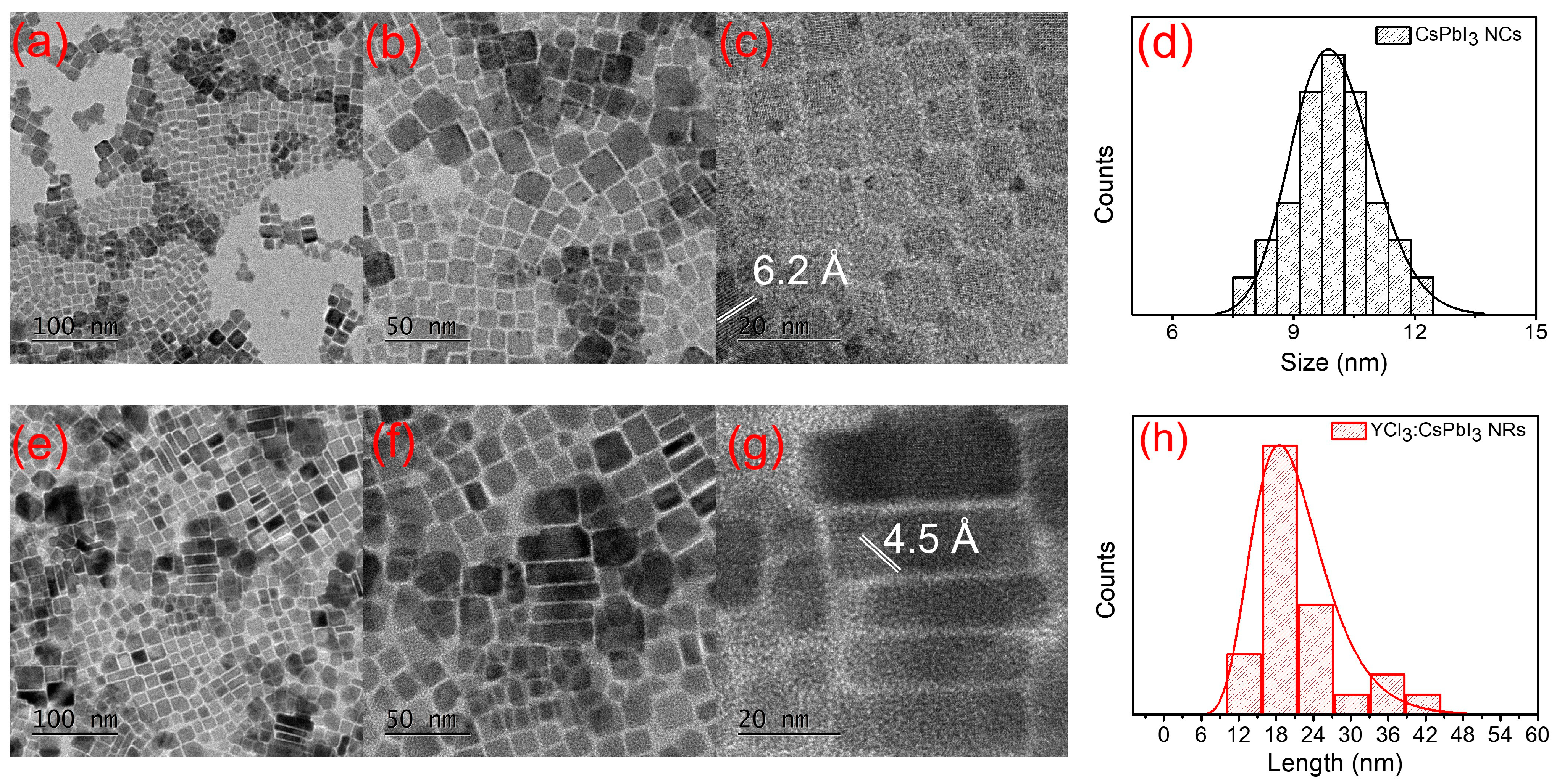 Nanomaterials 13 01366 g001