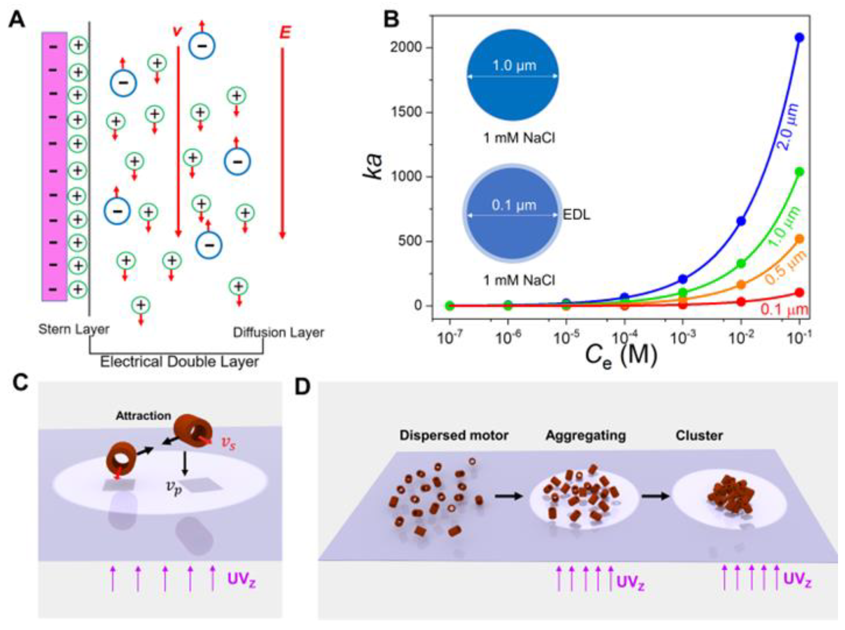 Nanomaterials 13 01370 g001 Nanomaterials 13 01370 g001