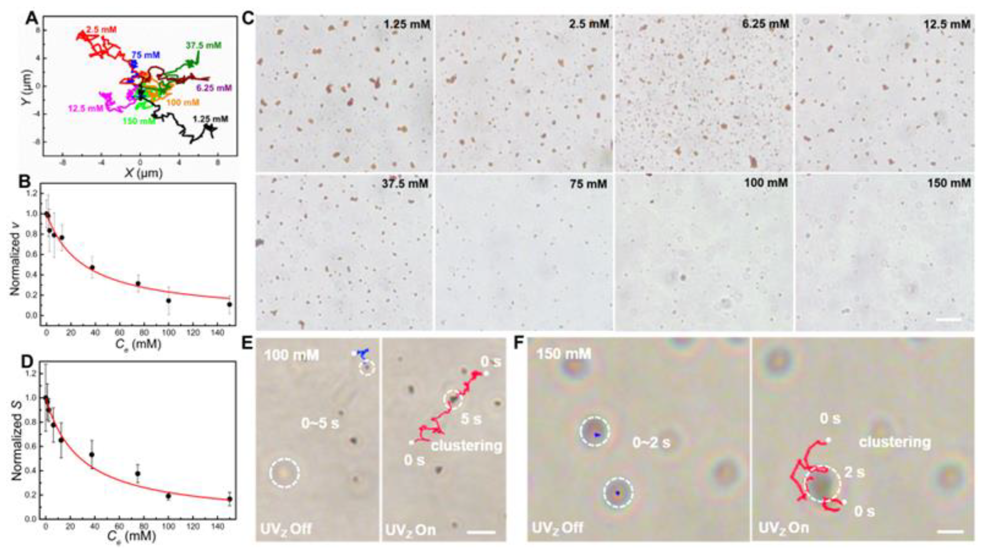 Nanomaterials 13 01370 g004 Nanomaterials 13 01370 g004