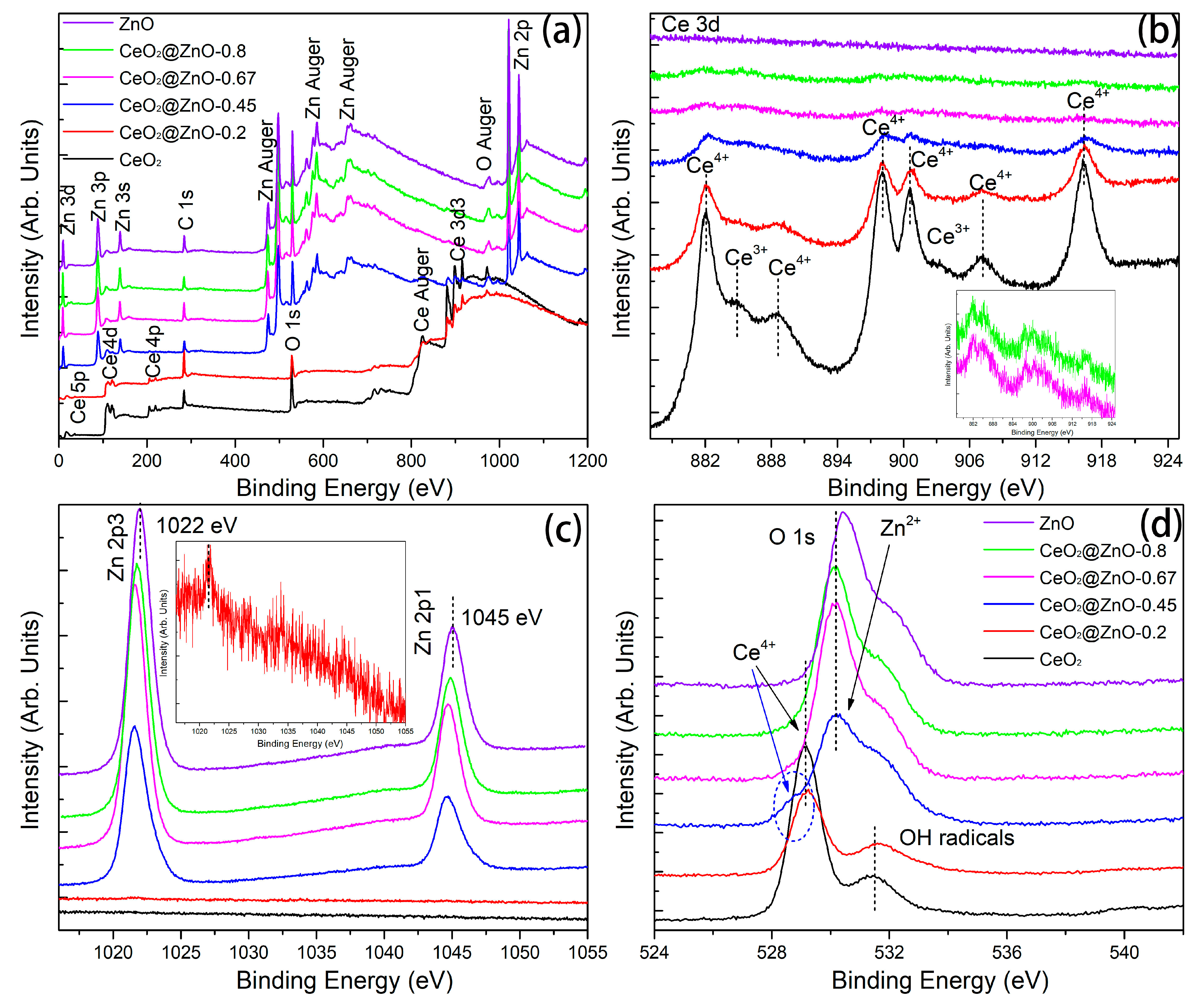 Nanomaterials 13 01371 g005