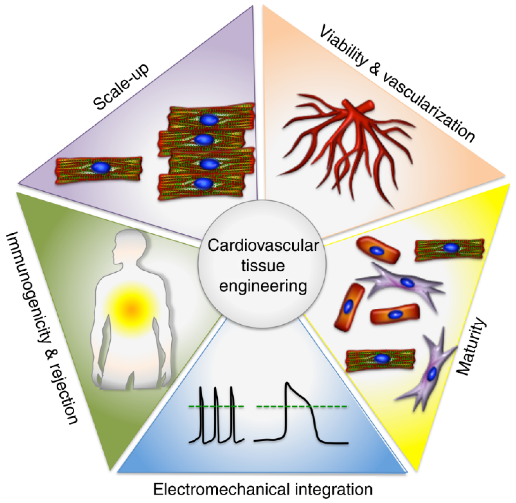 Nanomaterials 13 01374 g001