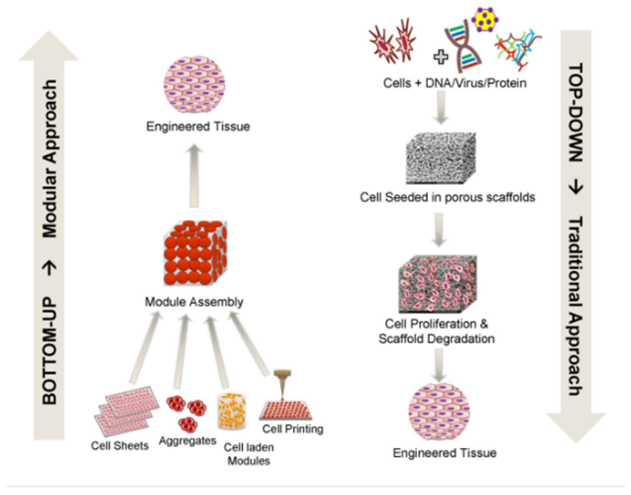 Nanomaterials 13 01374 g003