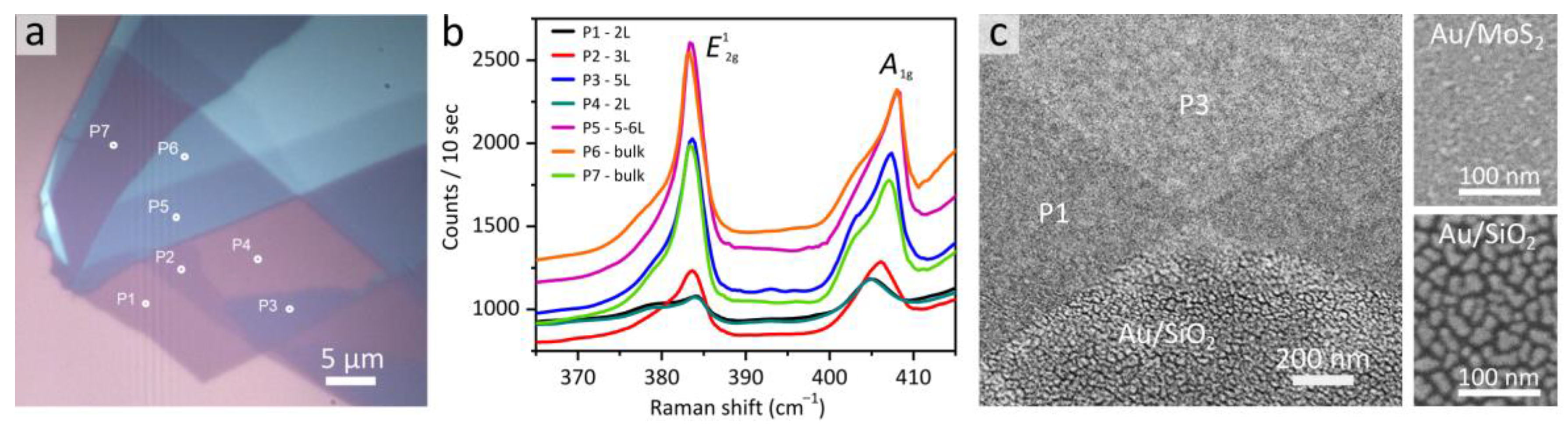 Nanomaterials 13 01376 g001
