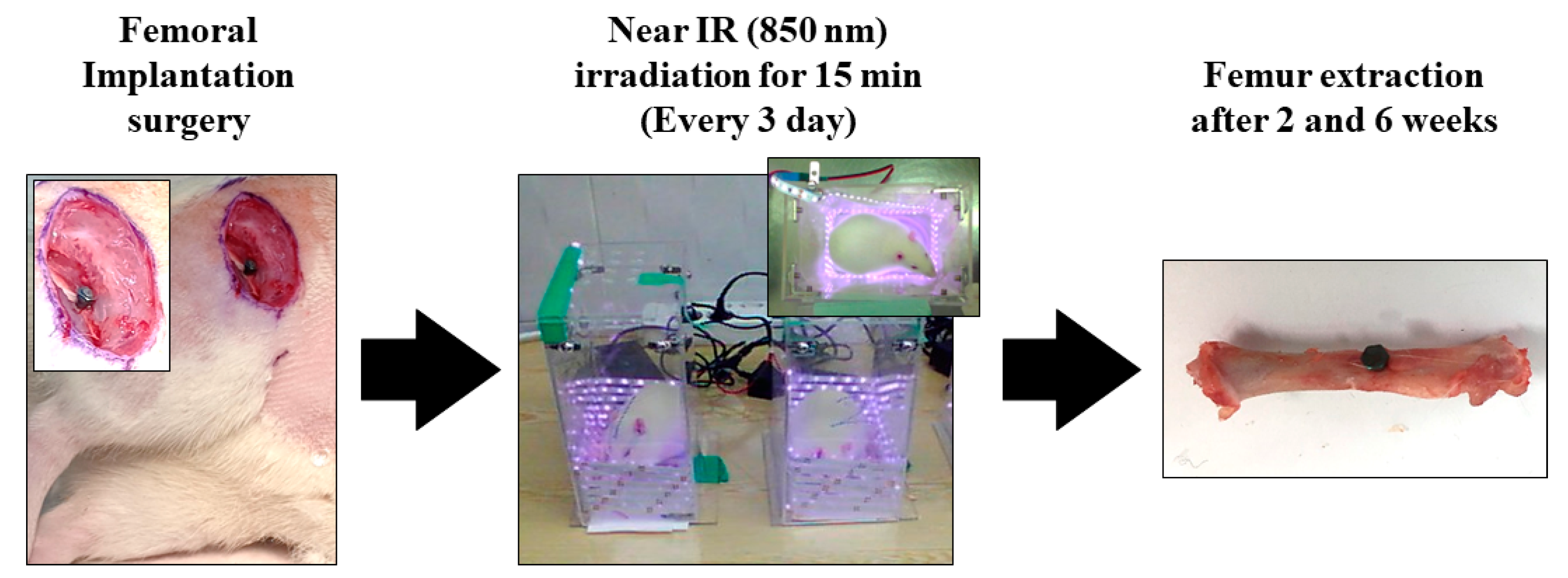 Nanomaterials 13 01377 g001