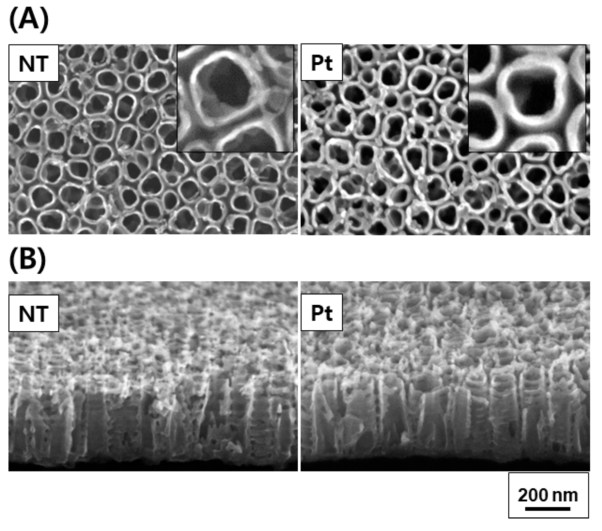 Nanomaterials 13 01377 g002