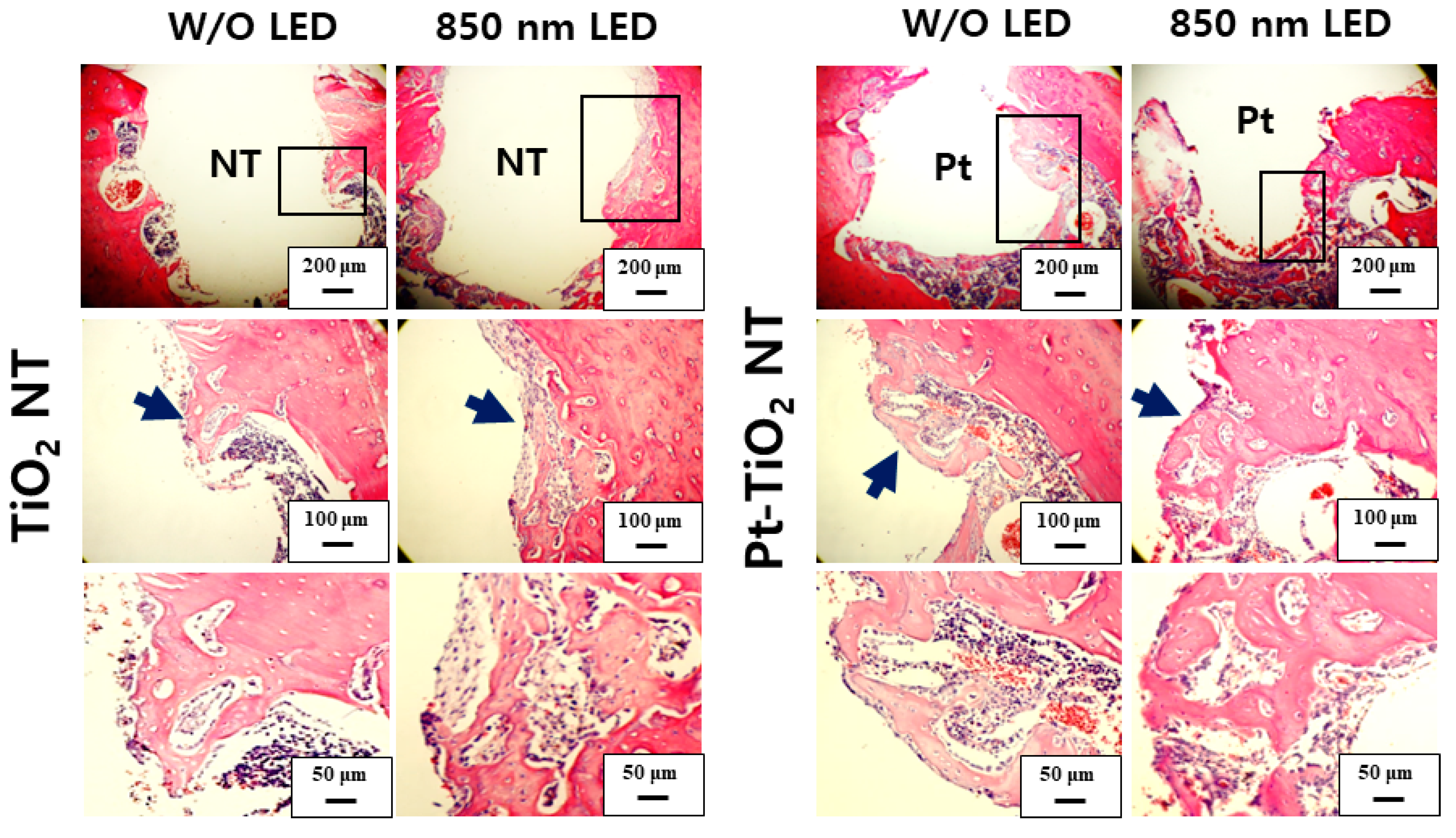 Nanomaterials 13 01377 g010