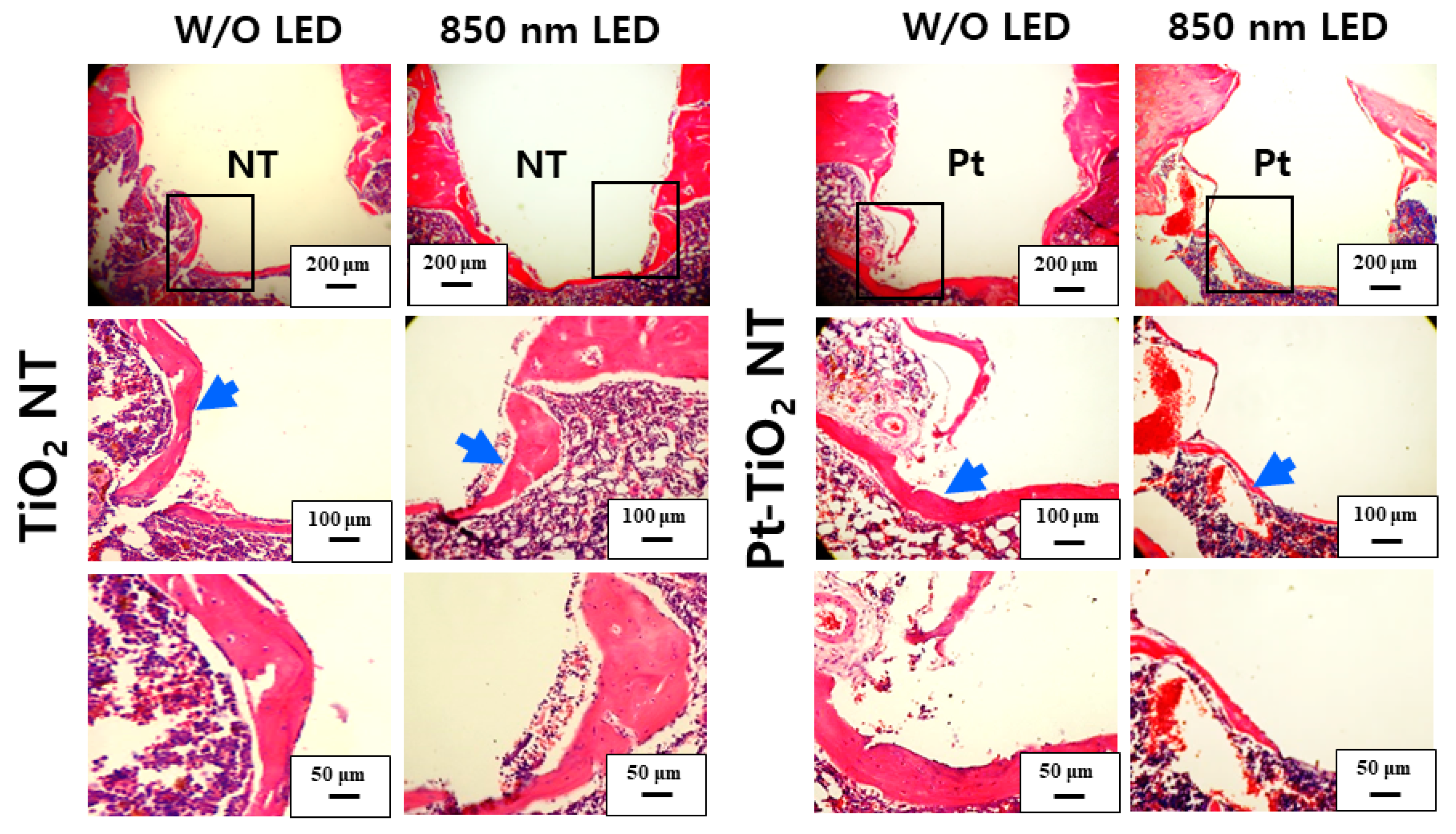 Nanomaterials 13 01377 g011