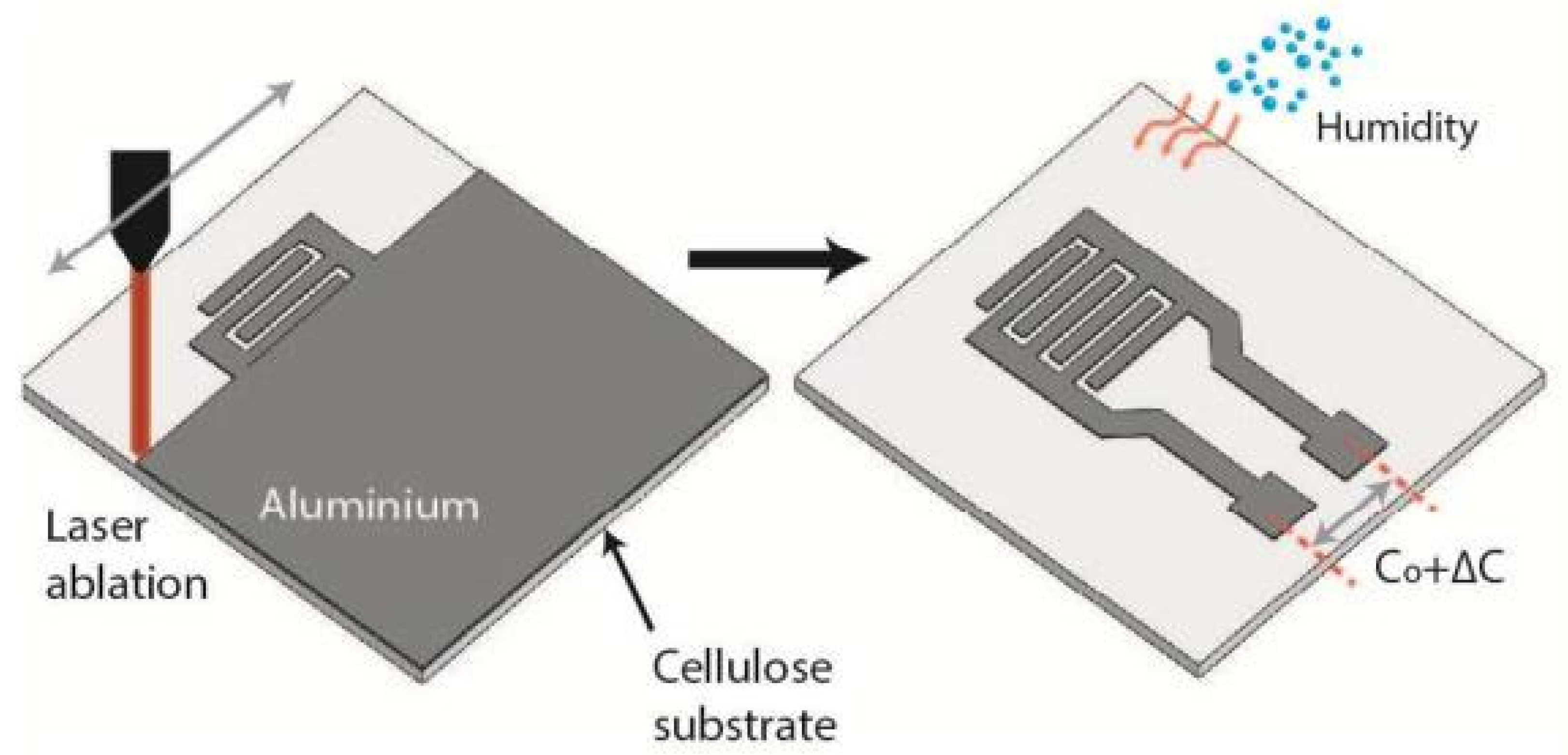Nanomaterials 13 01381 g001