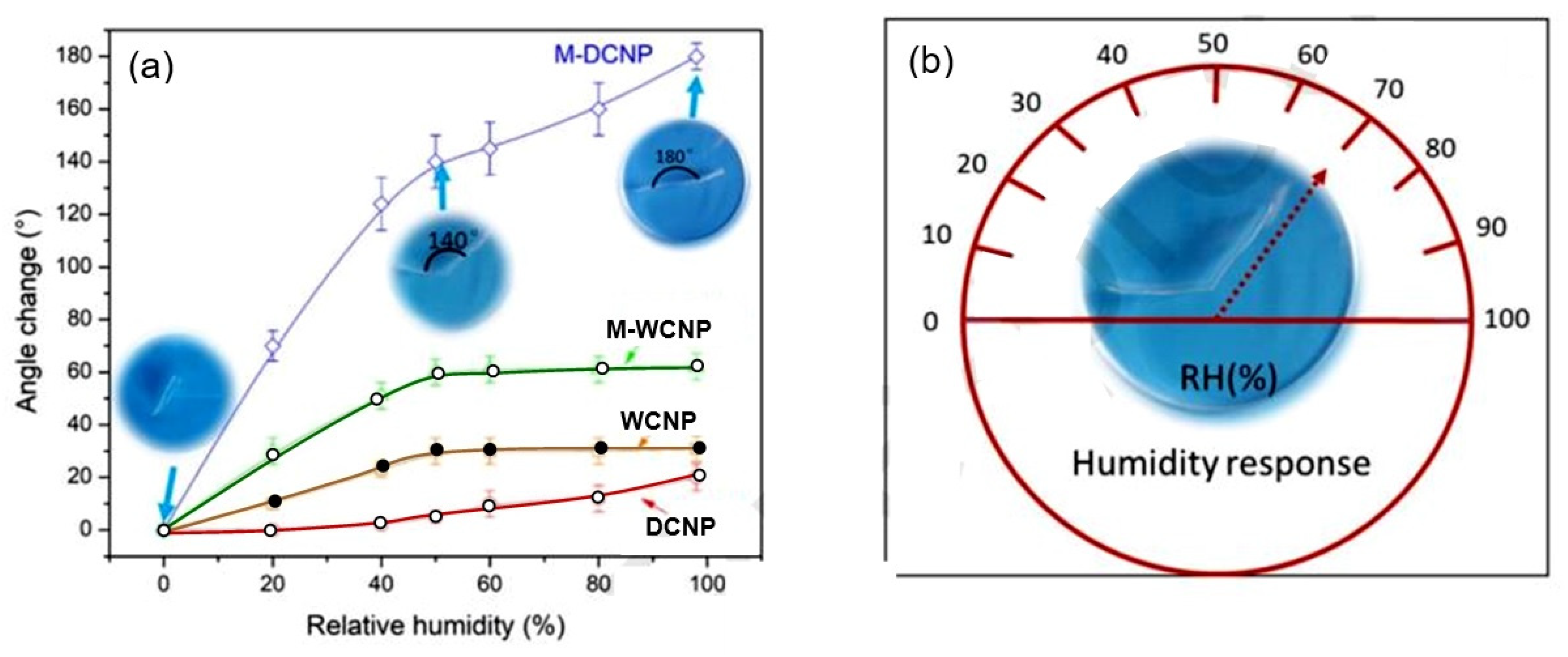 Nanomaterials 13 01381 g036