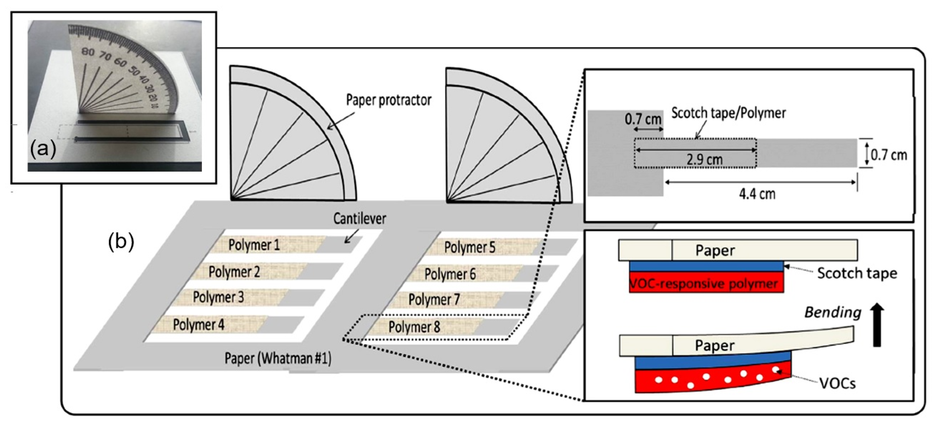 Nanomaterials 13 01381 g037