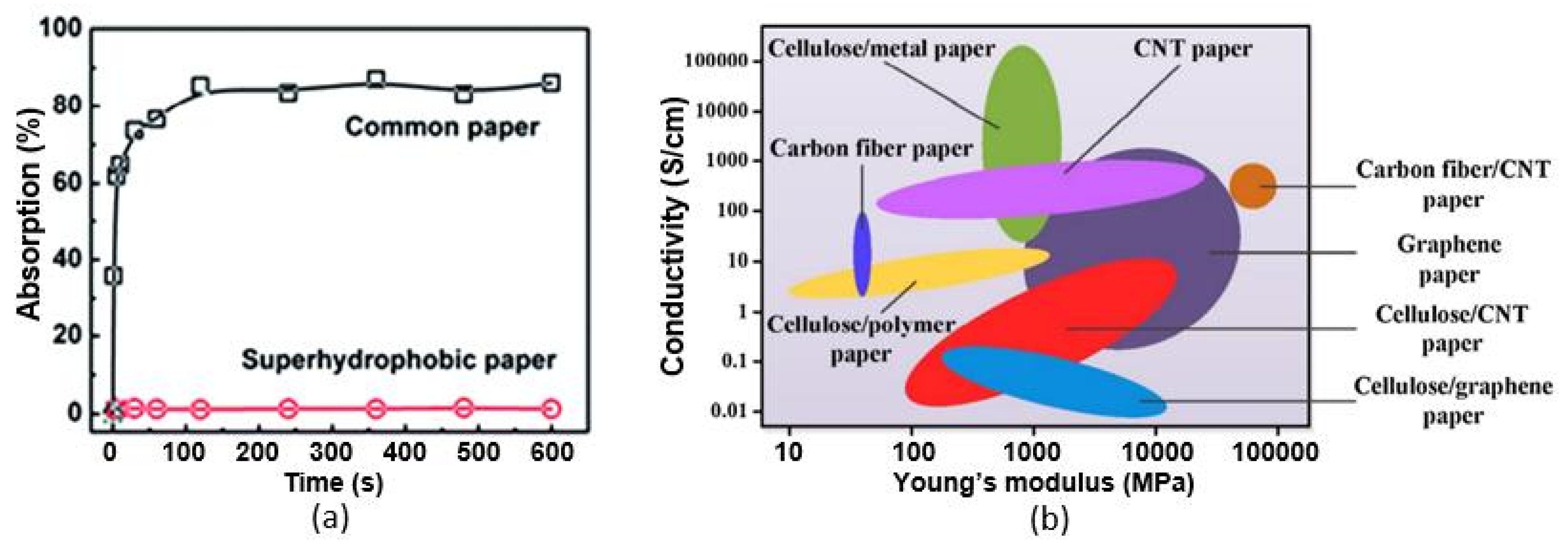 Nanomaterials 13 01381 g042