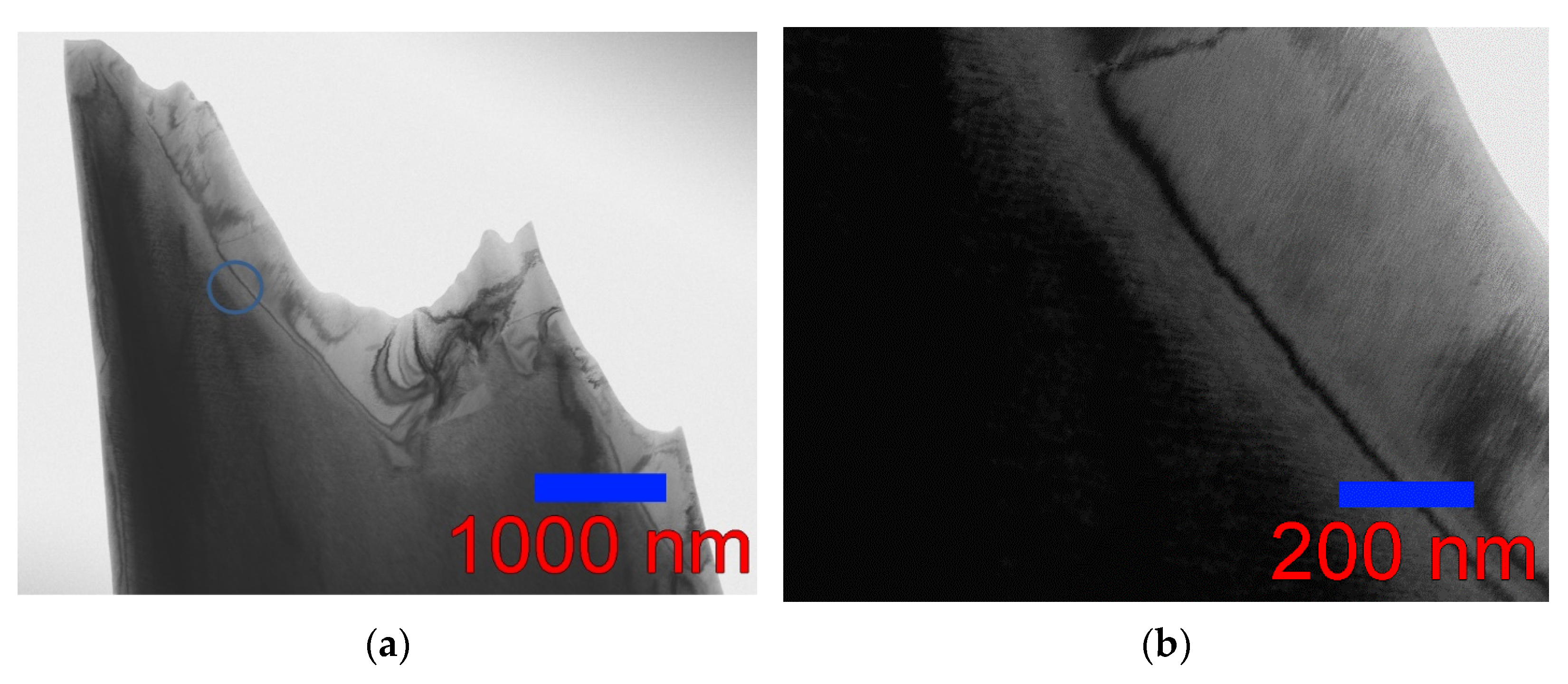 Nanomaterials 13 01385 g011a Nanomaterials 13 01385 g011a