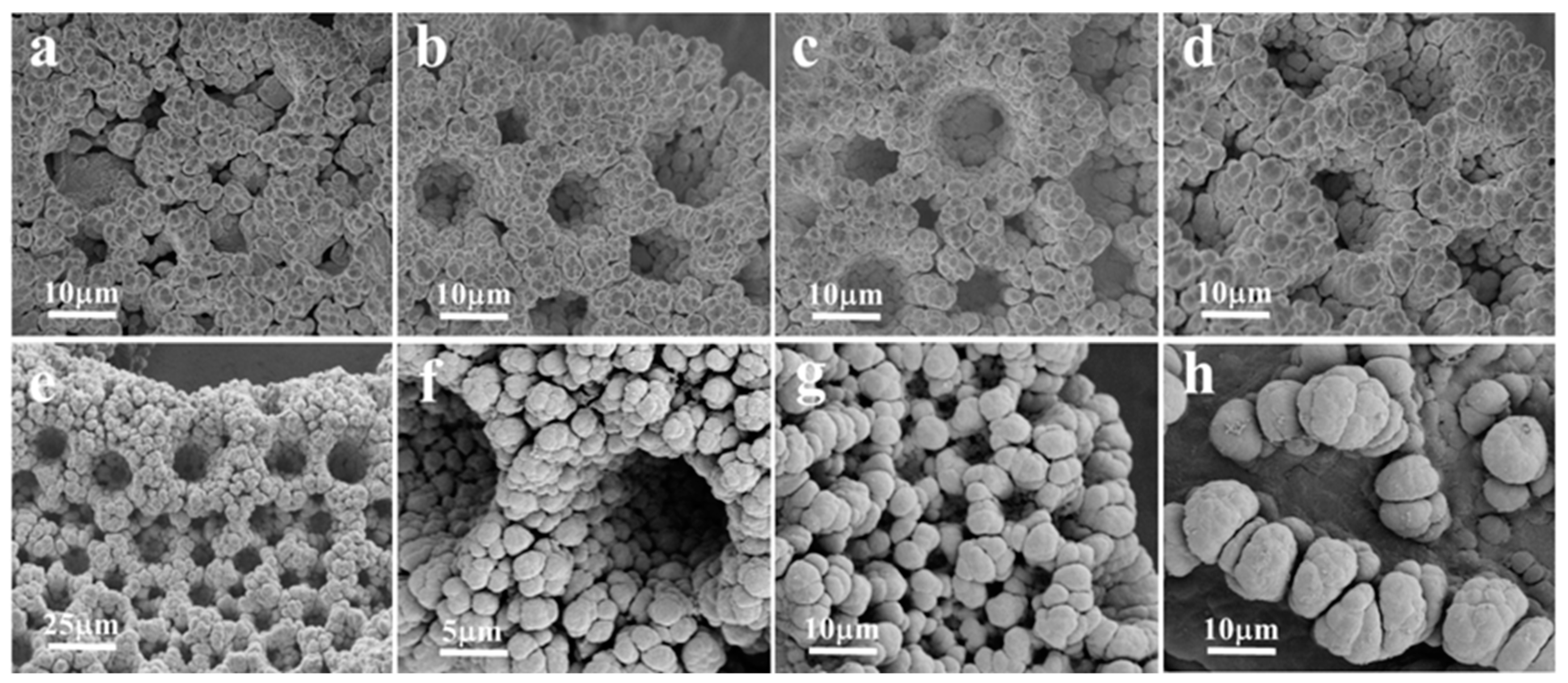 Nanomaterials 13 01386 g003