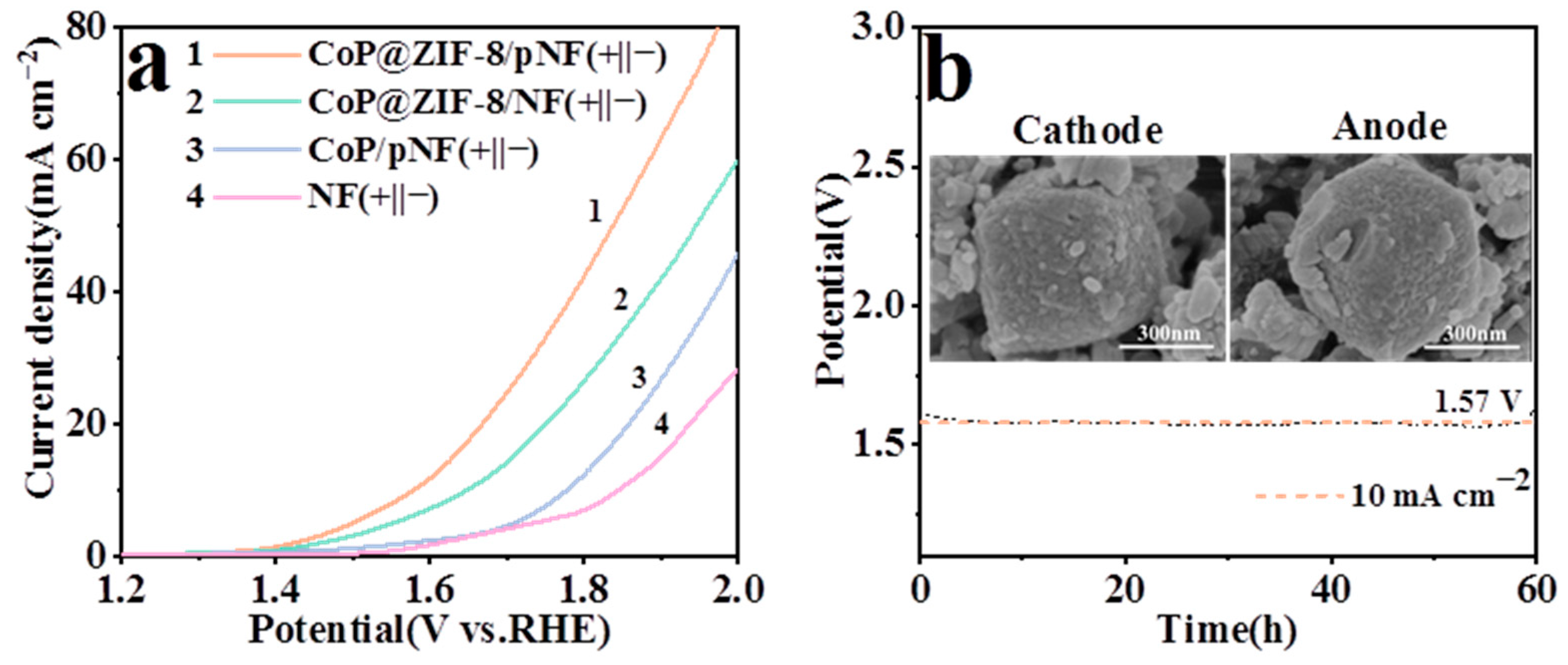 Nanomaterials 13 01386 g010