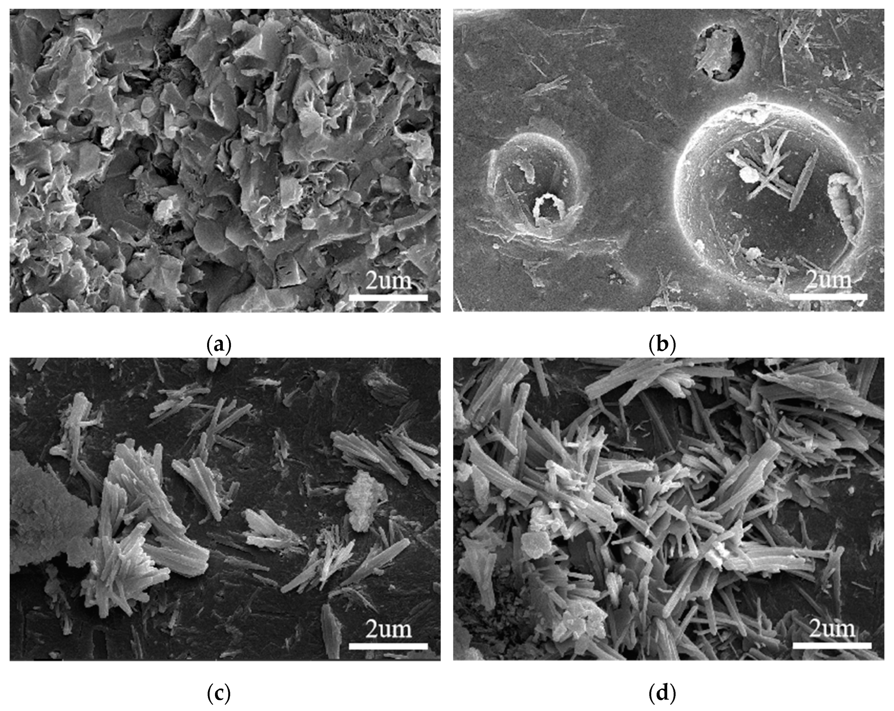 Nanomaterials 13 01405 g015 Nanomaterials 13 01405 g015
