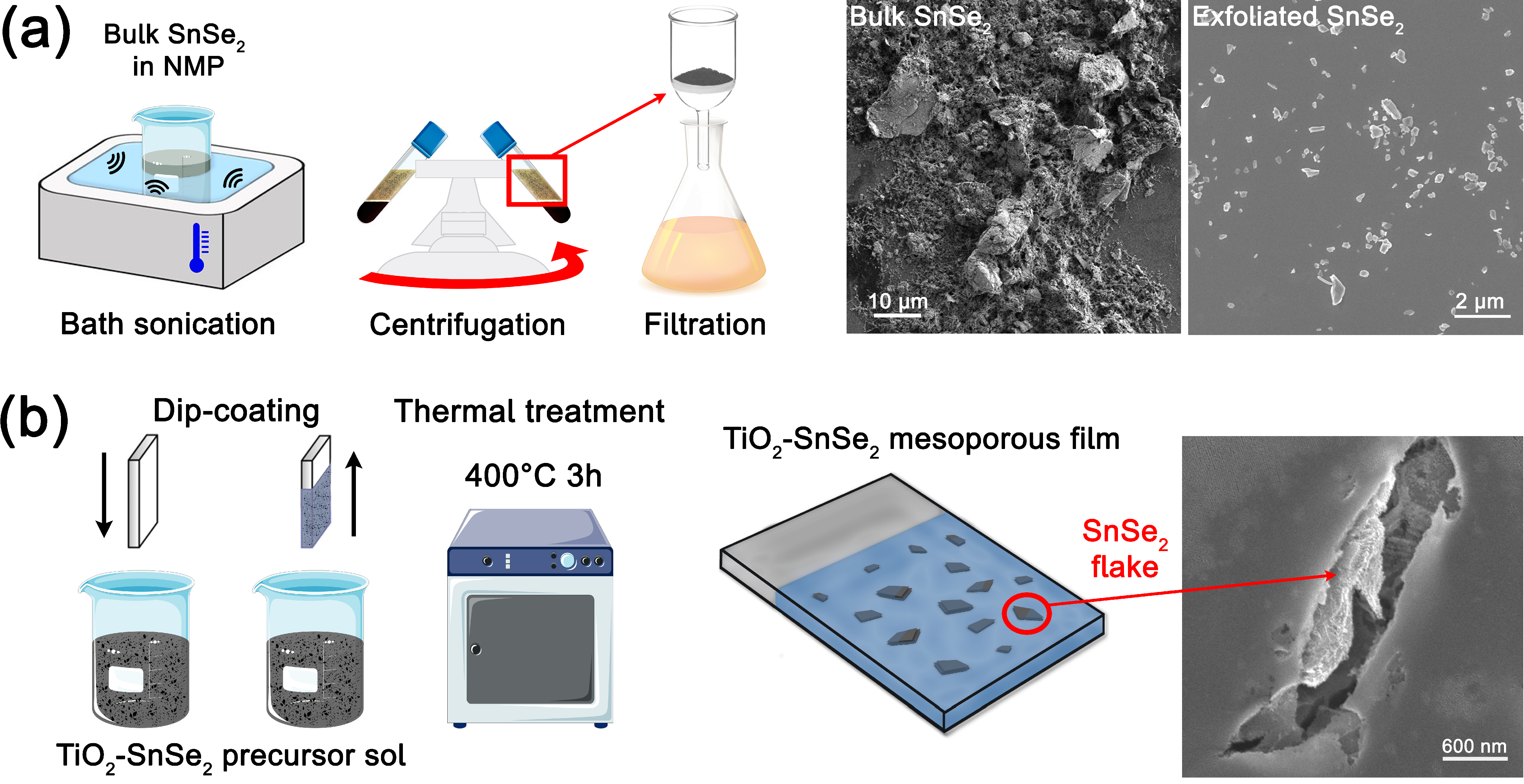 Nanomaterials 13 01406 g001