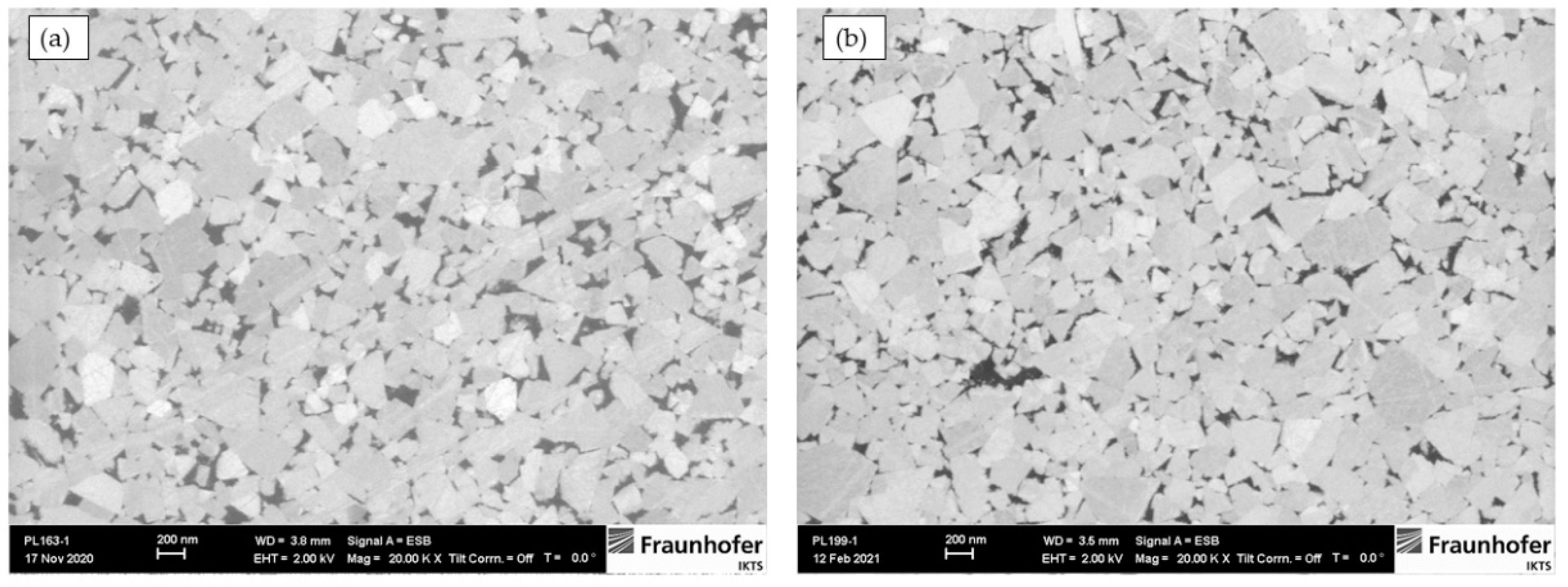 Nanomaterials 13 01407 g001