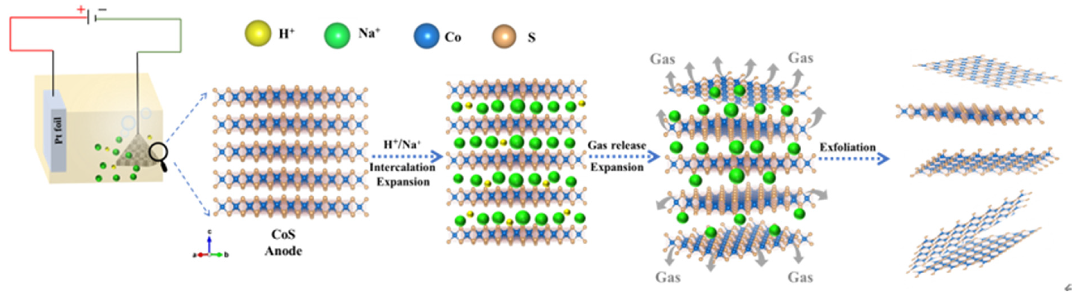 Nanomaterials 13 01411 g001