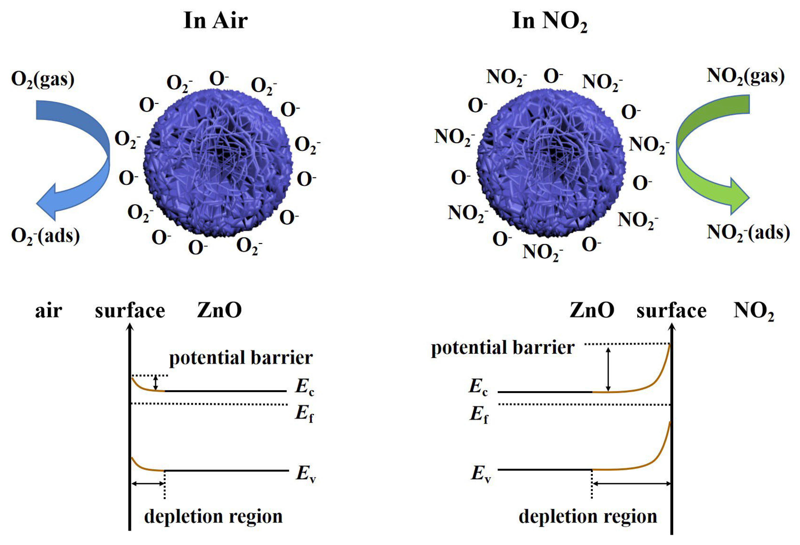Nanomaterials 13 01413 g008