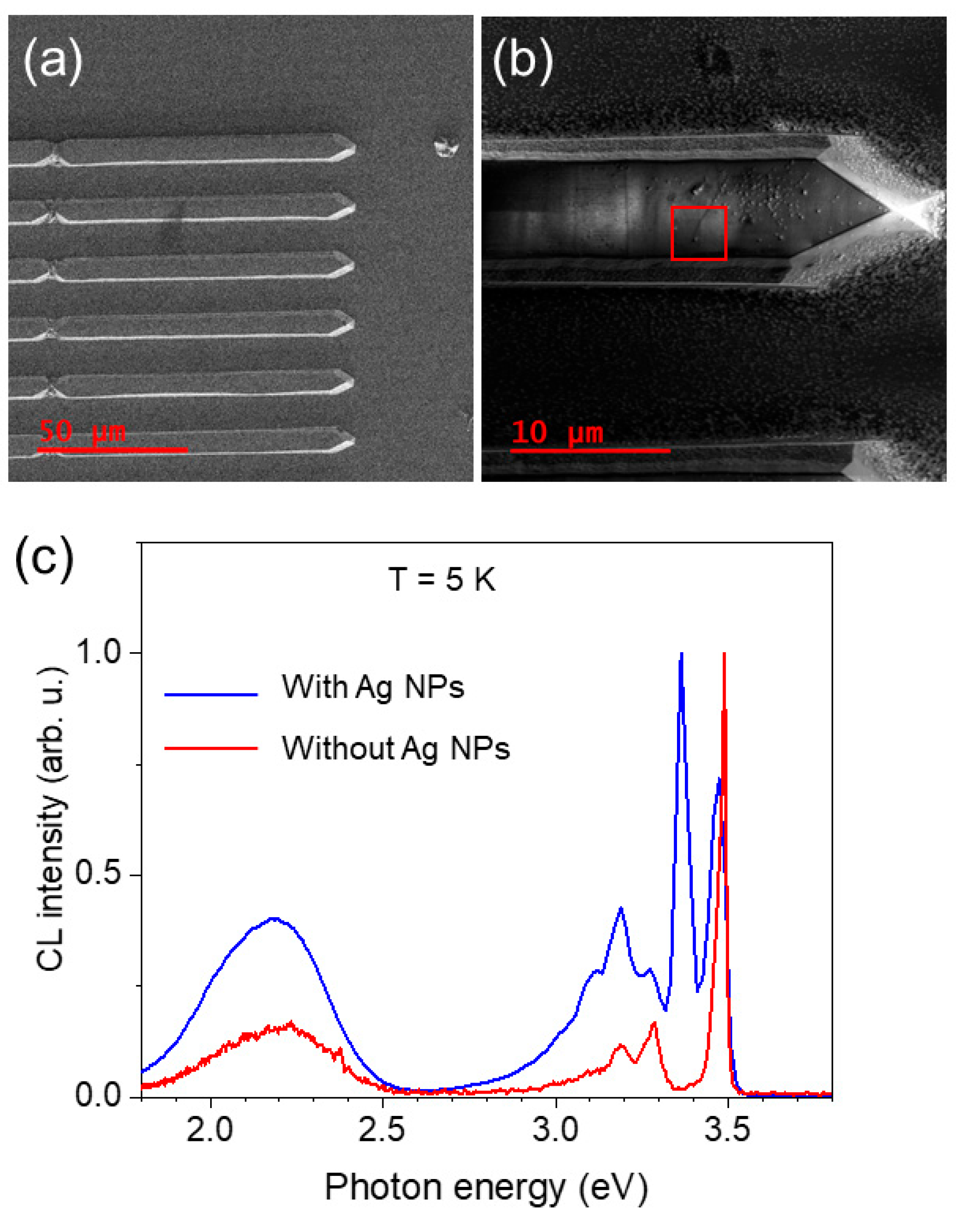 Nanomaterials 13 01421 g001