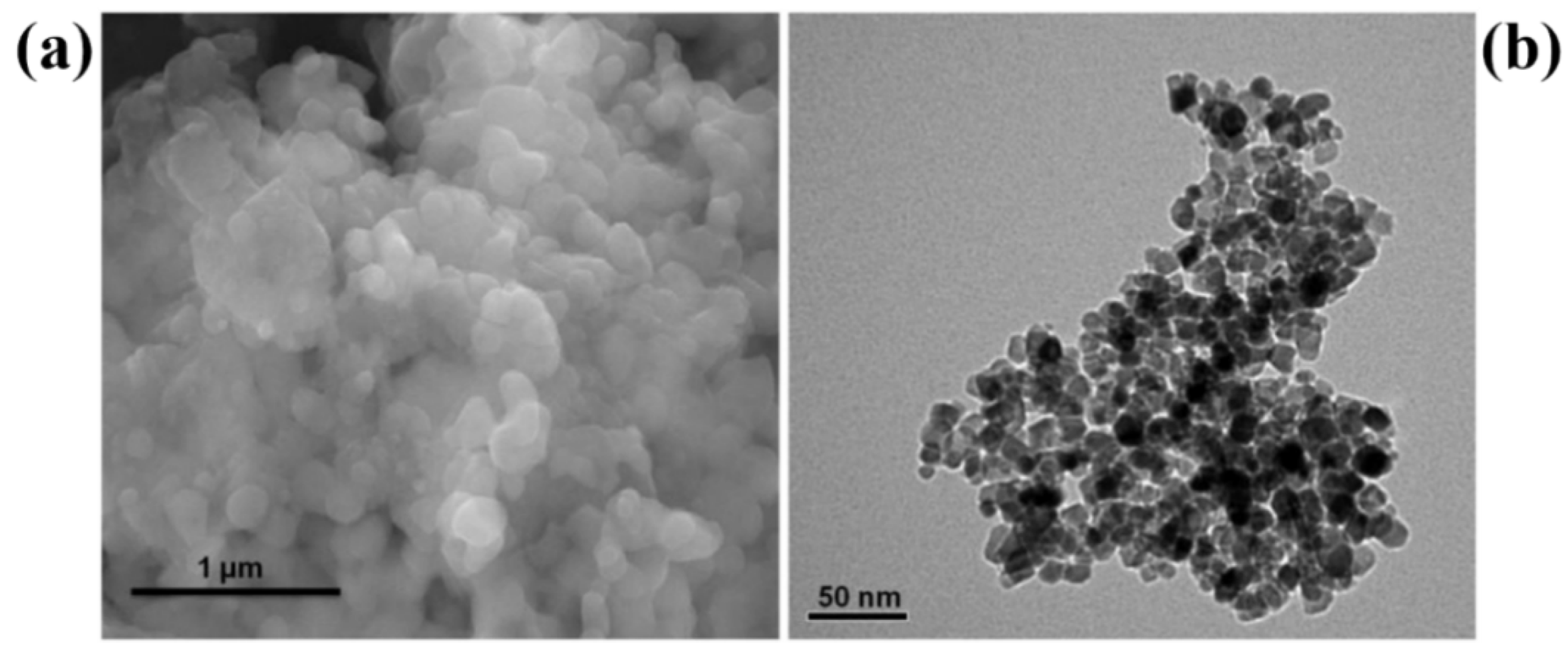 Nanomaterials 13 01424 g015 Nanomaterials 13 01424 g015