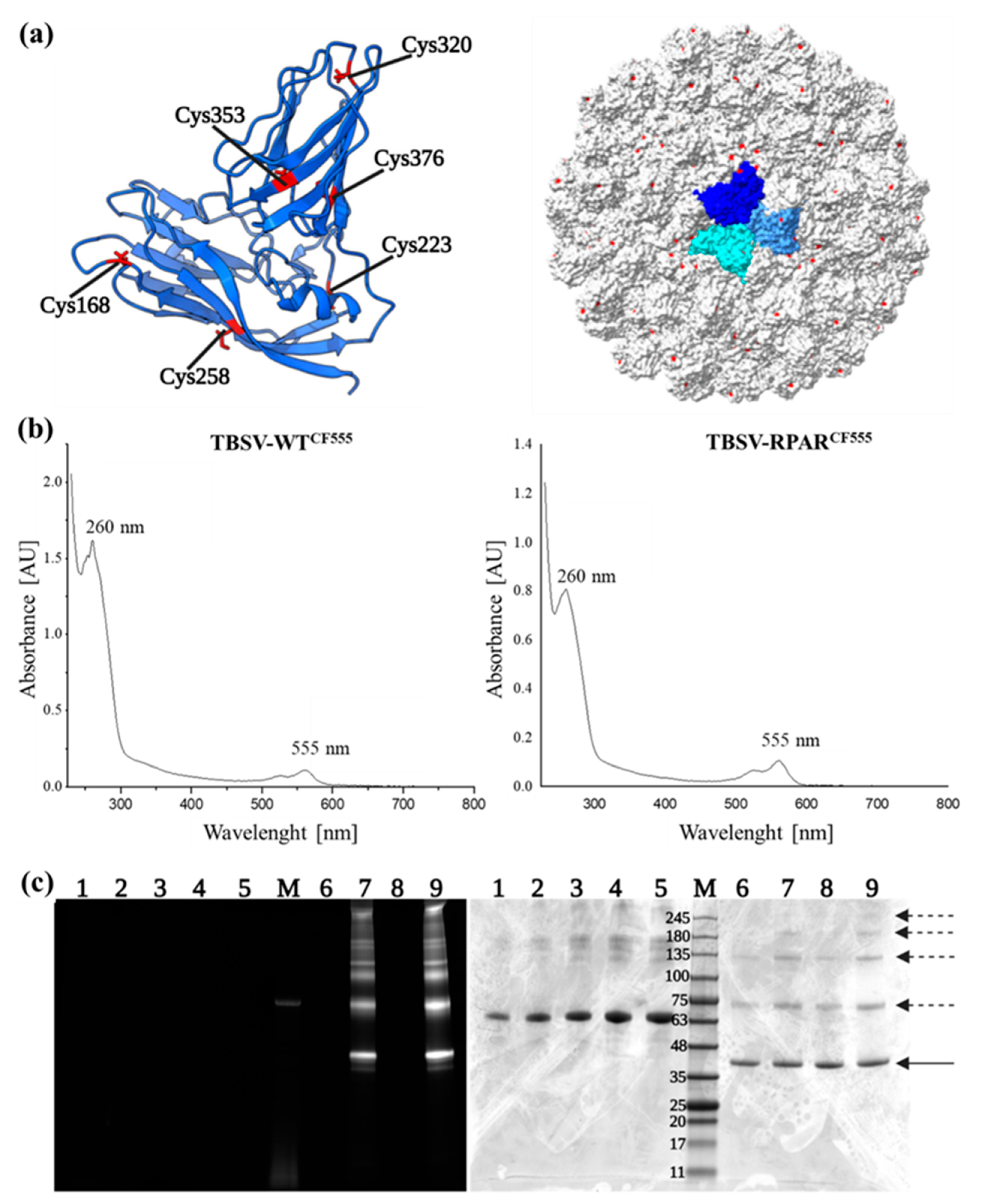 Nanomaterials 13 01428 g002