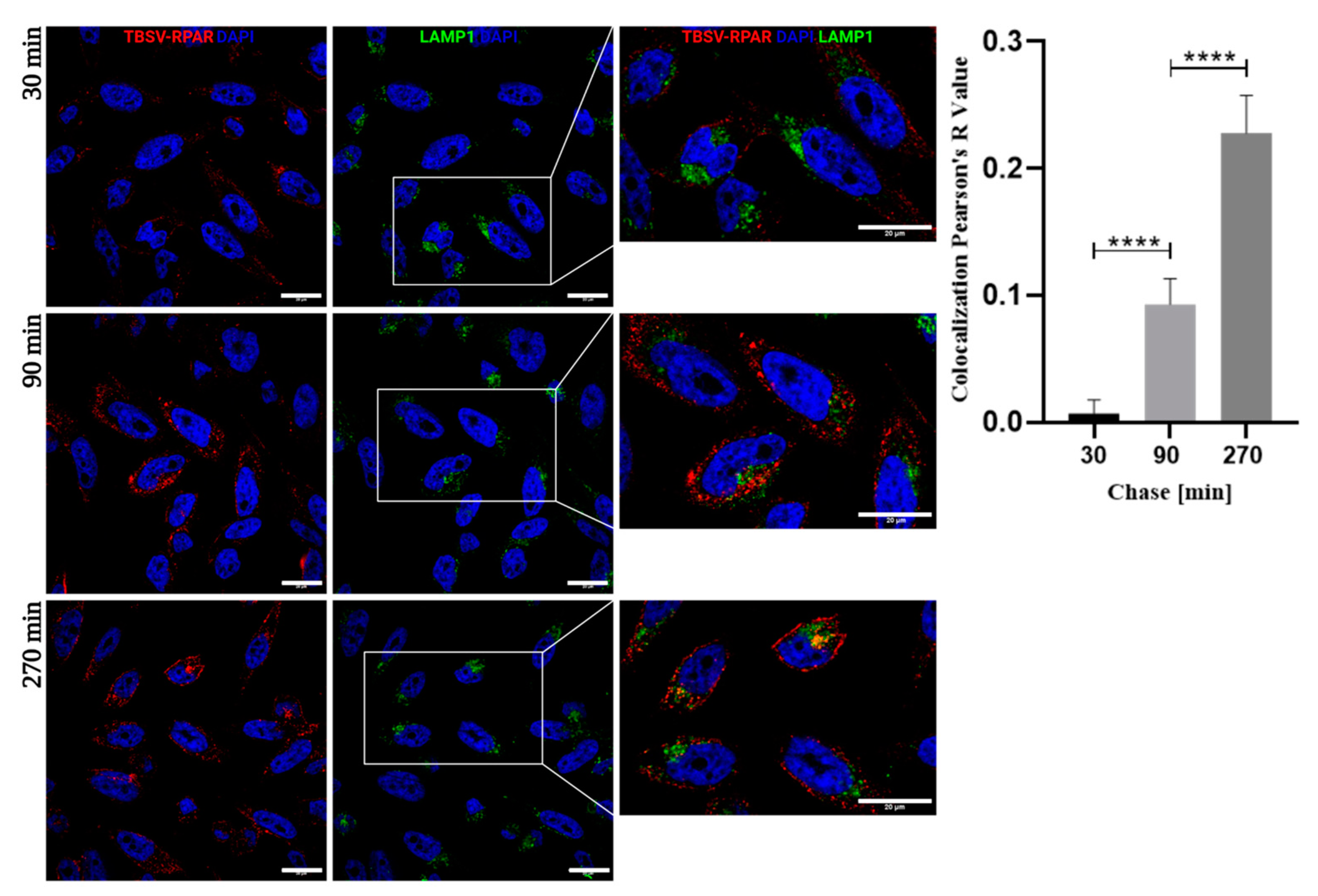 Nanomaterials 13 01428 g005
