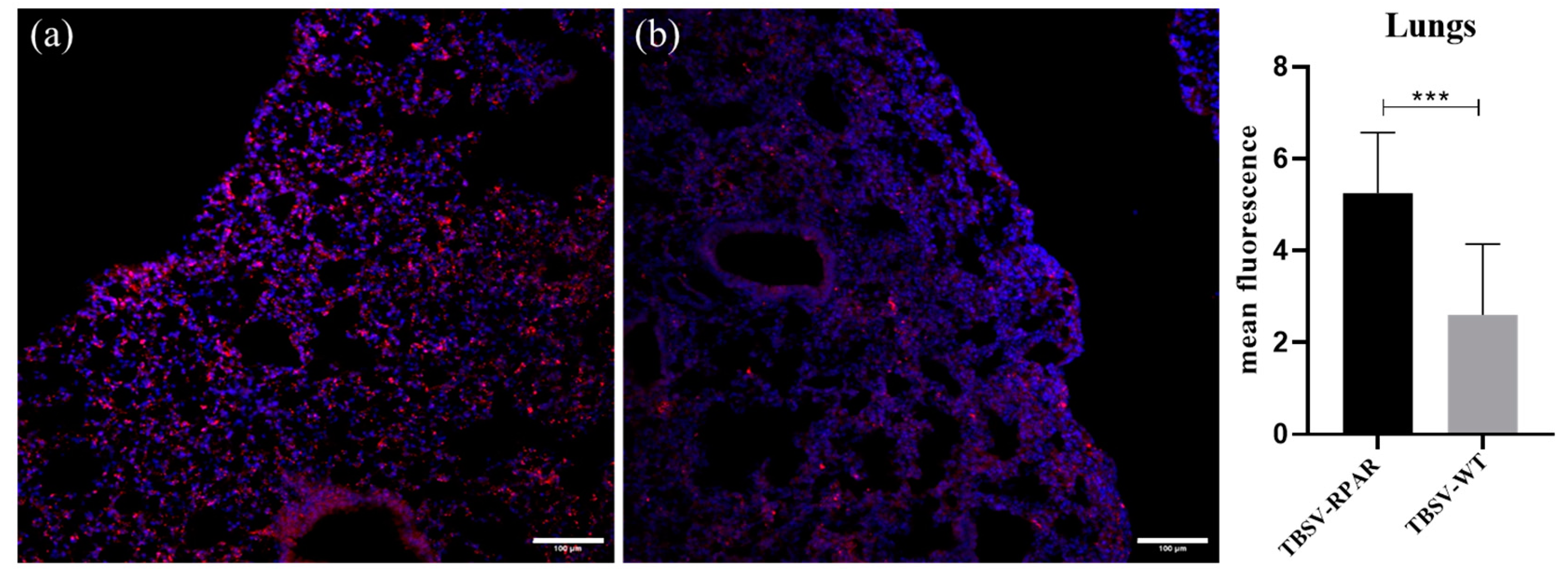 Nanomaterials 13 01428 g007