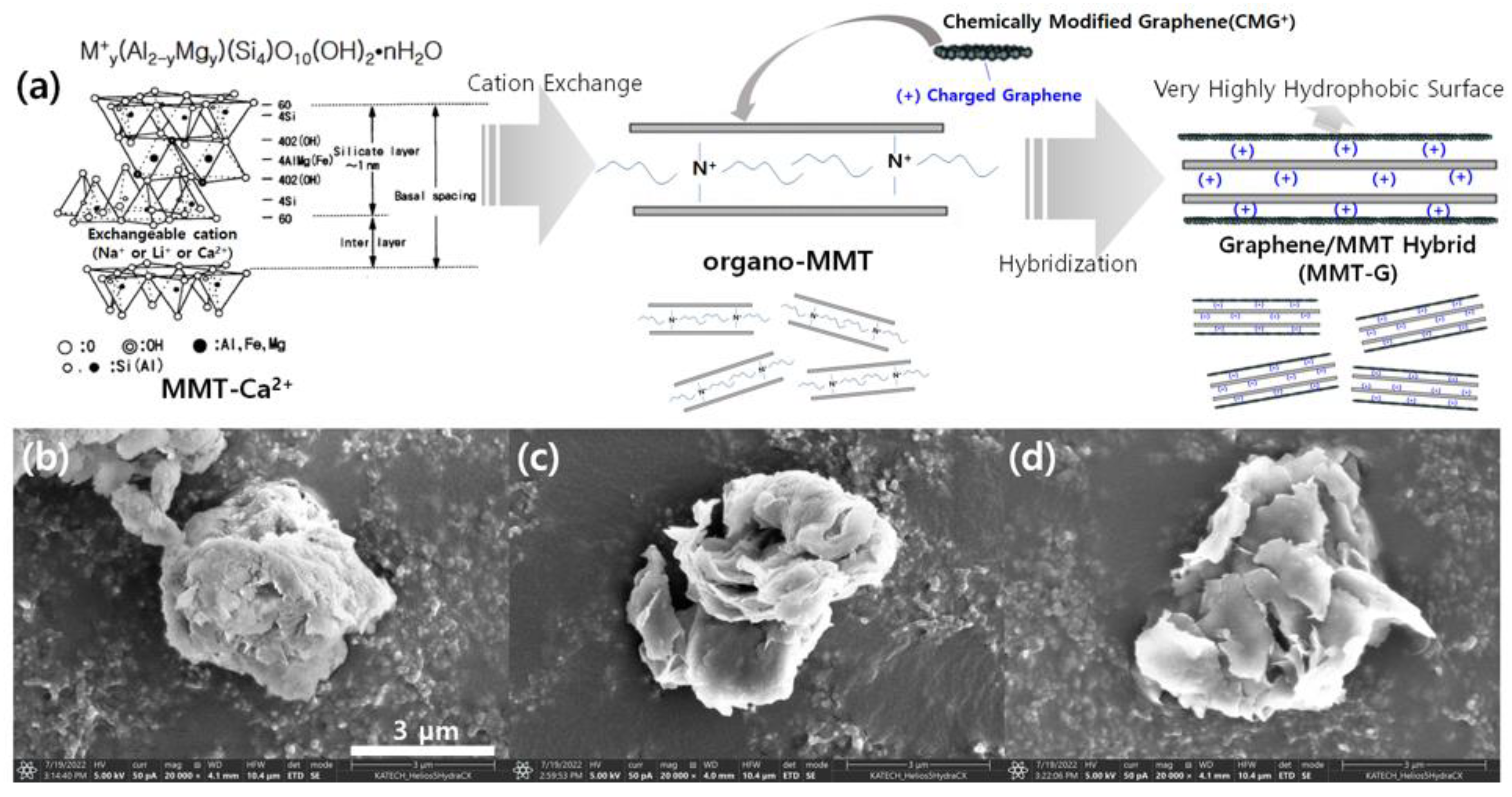 Nanomaterials 13 01439 g001 Nanomaterials 13 01439 g001