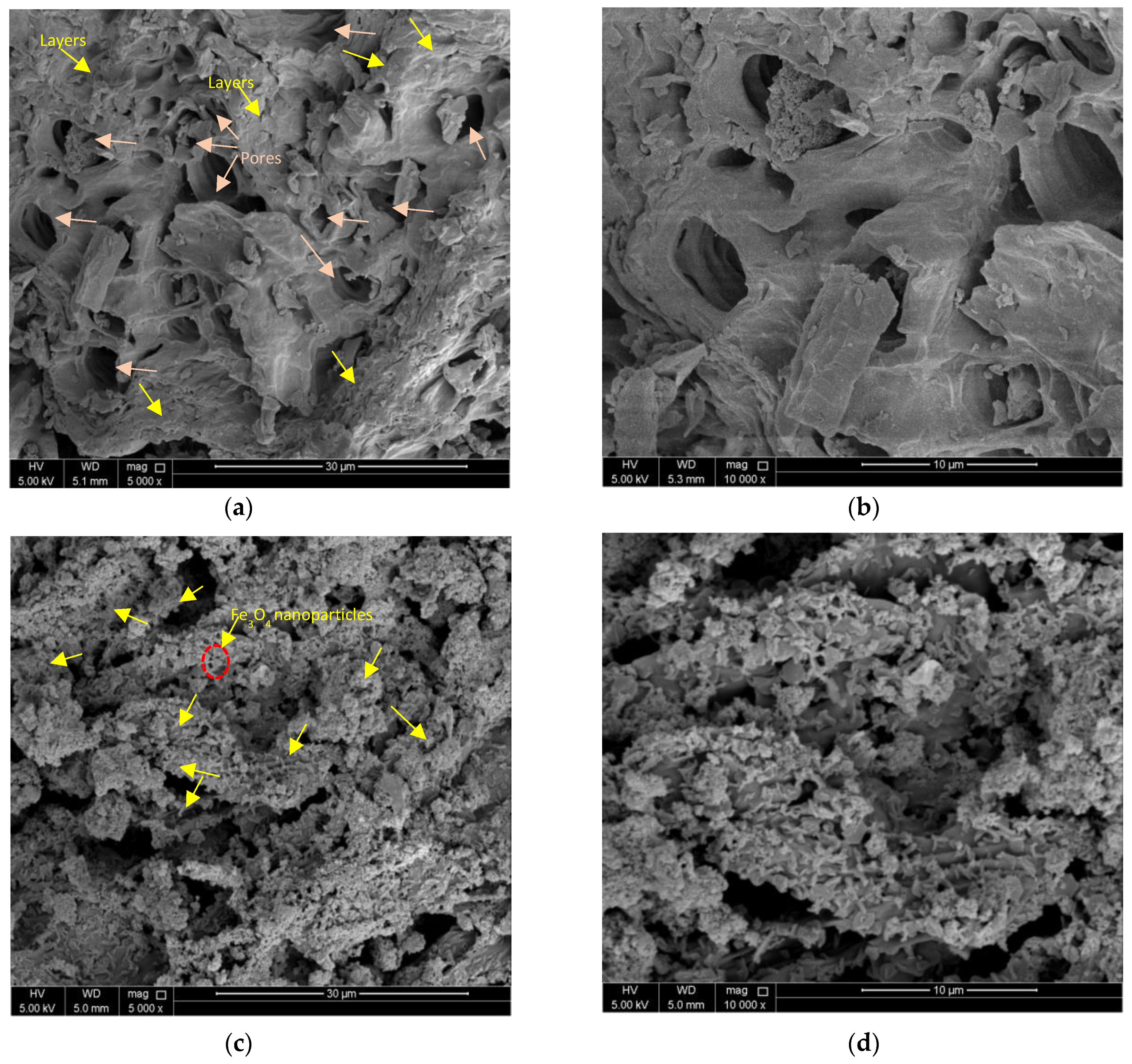 Nanomaterials 13 01444 g005a