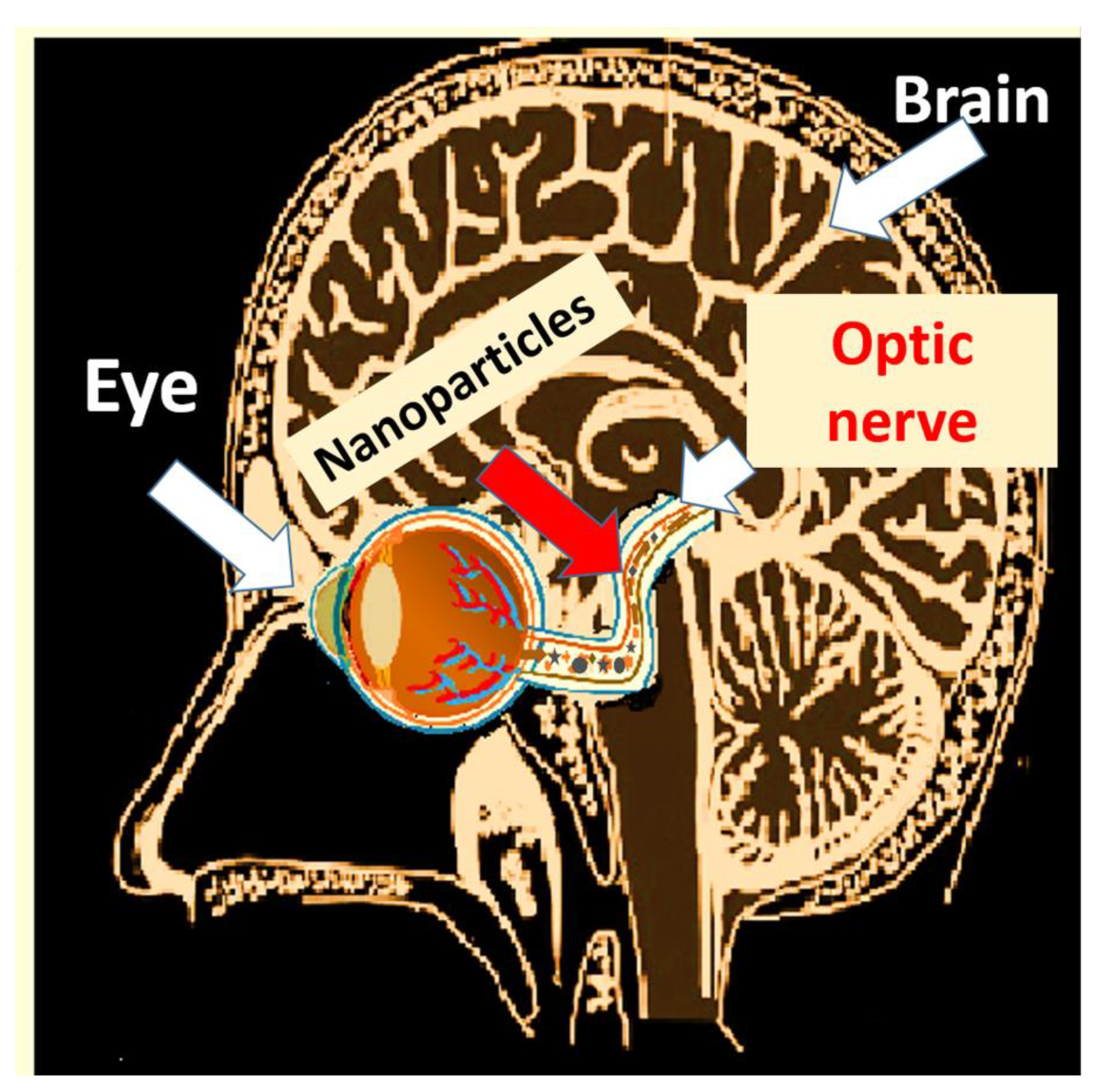 Nanomaterials 13 01454 g006 Nanomaterials 13 01454 g006
