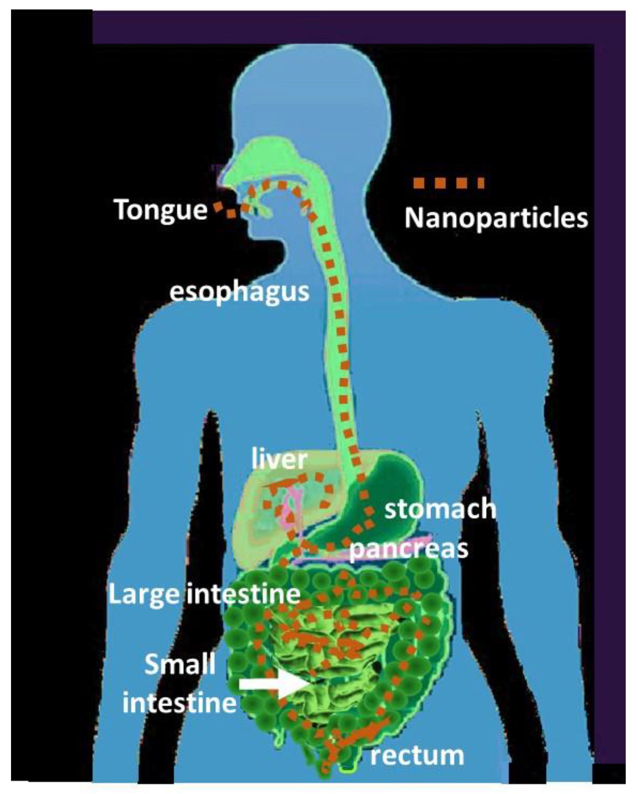 Nanomaterials 13 01454 g007 Nanomaterials 13 01454 g007