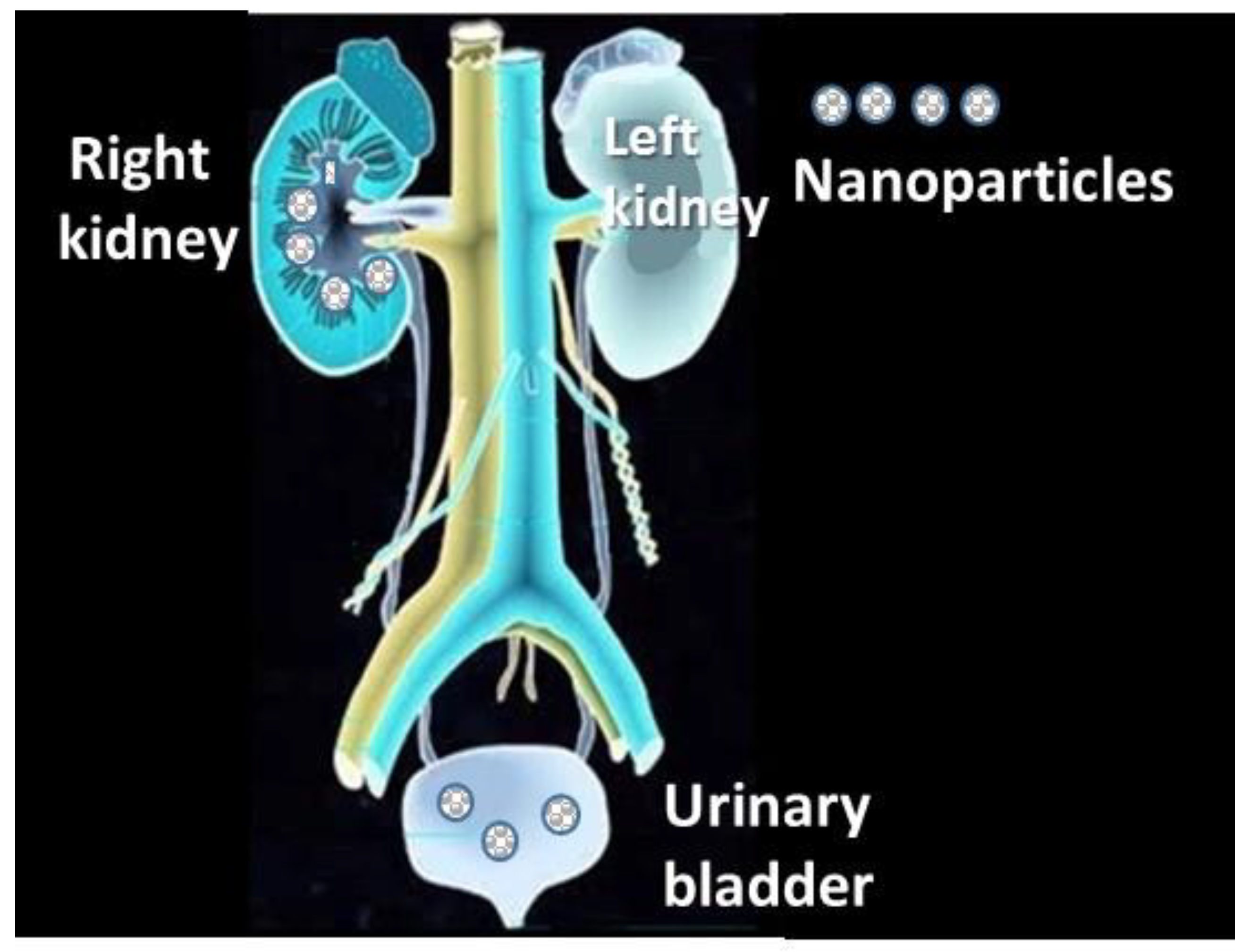 Nanomaterials 13 01454 g008 Nanomaterials 13 01454 g008