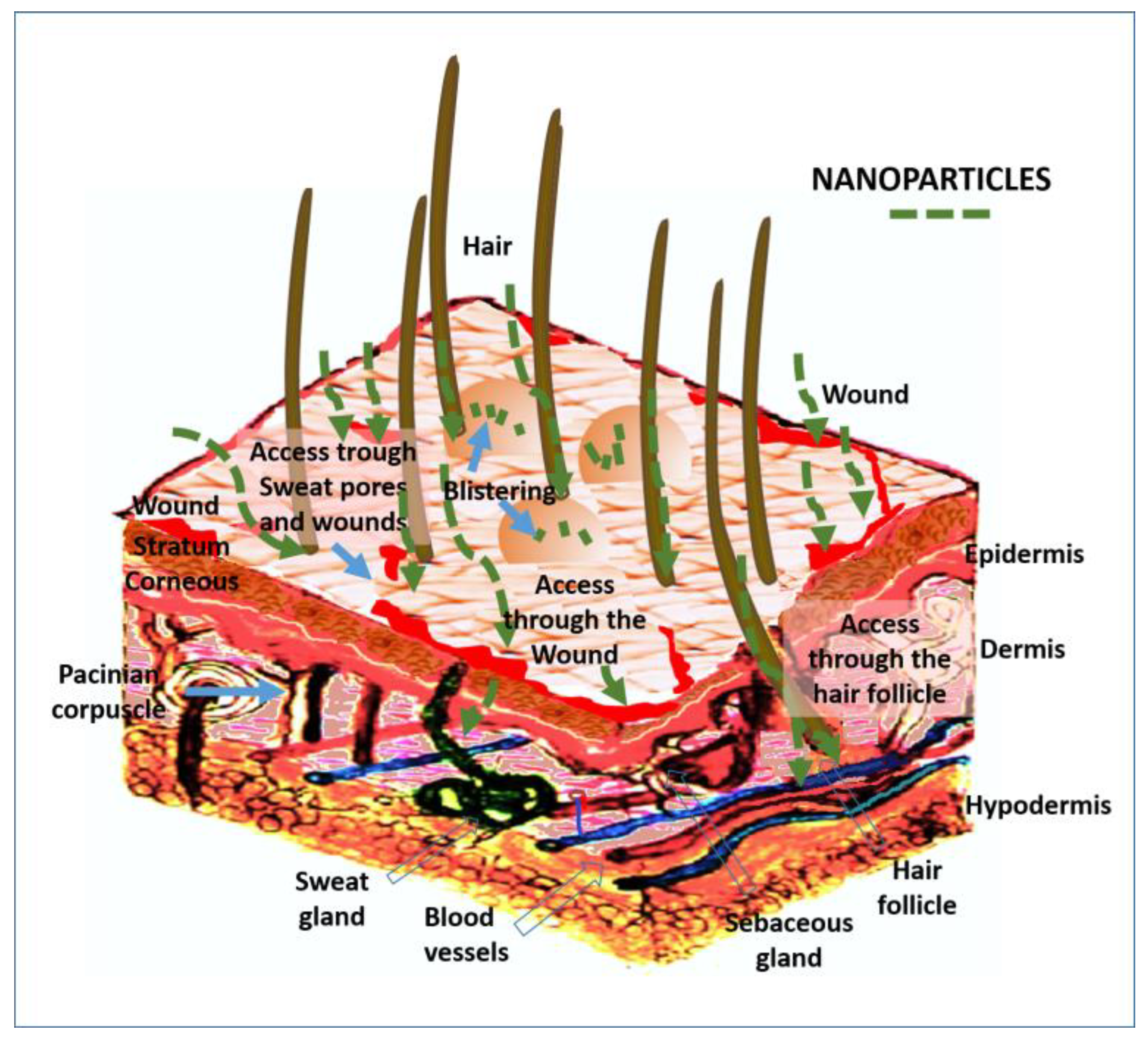 Nanomaterials 13 01454 g009 Nanomaterials 13 01454 g009