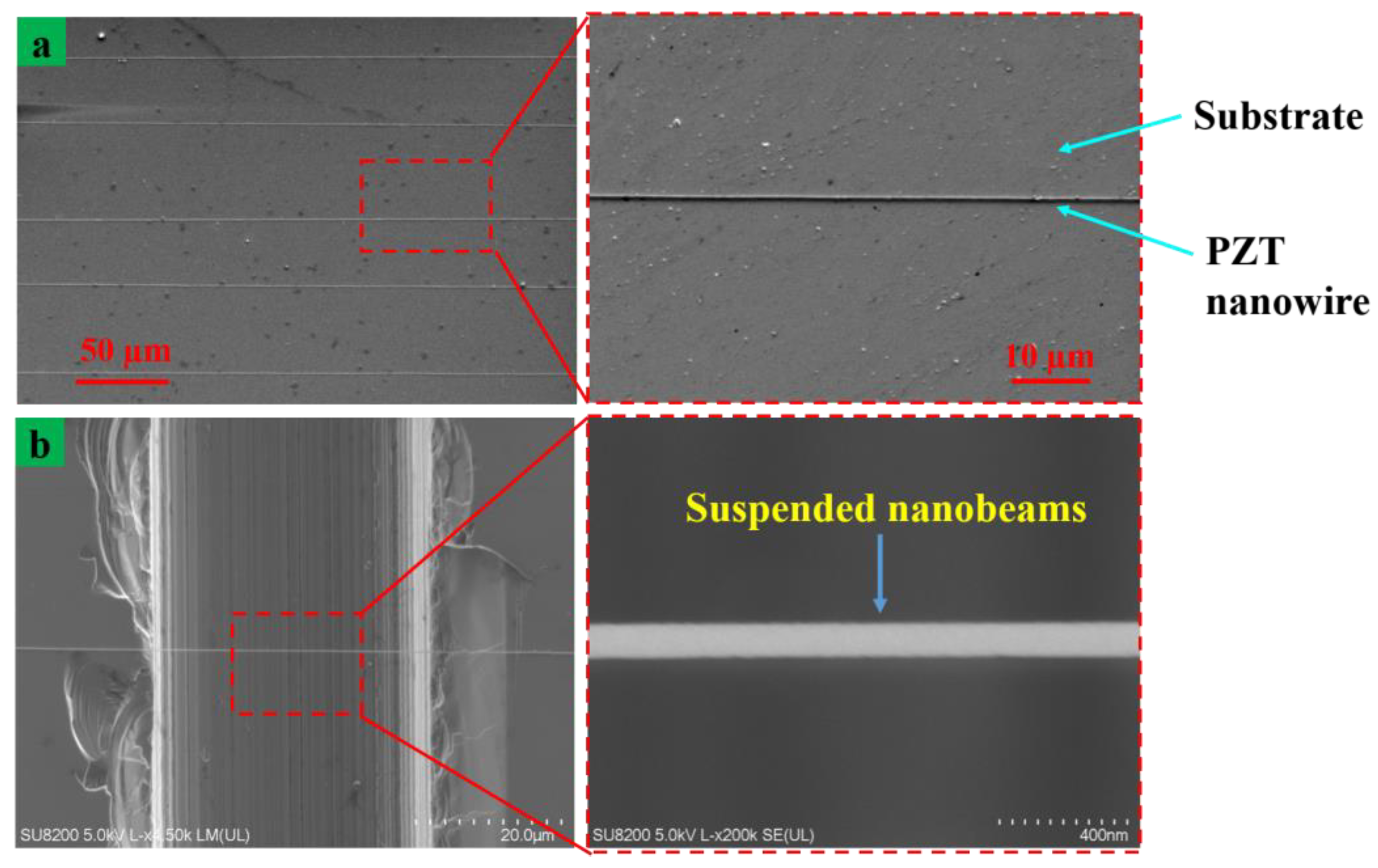 Nanomaterials 13 01457 g009