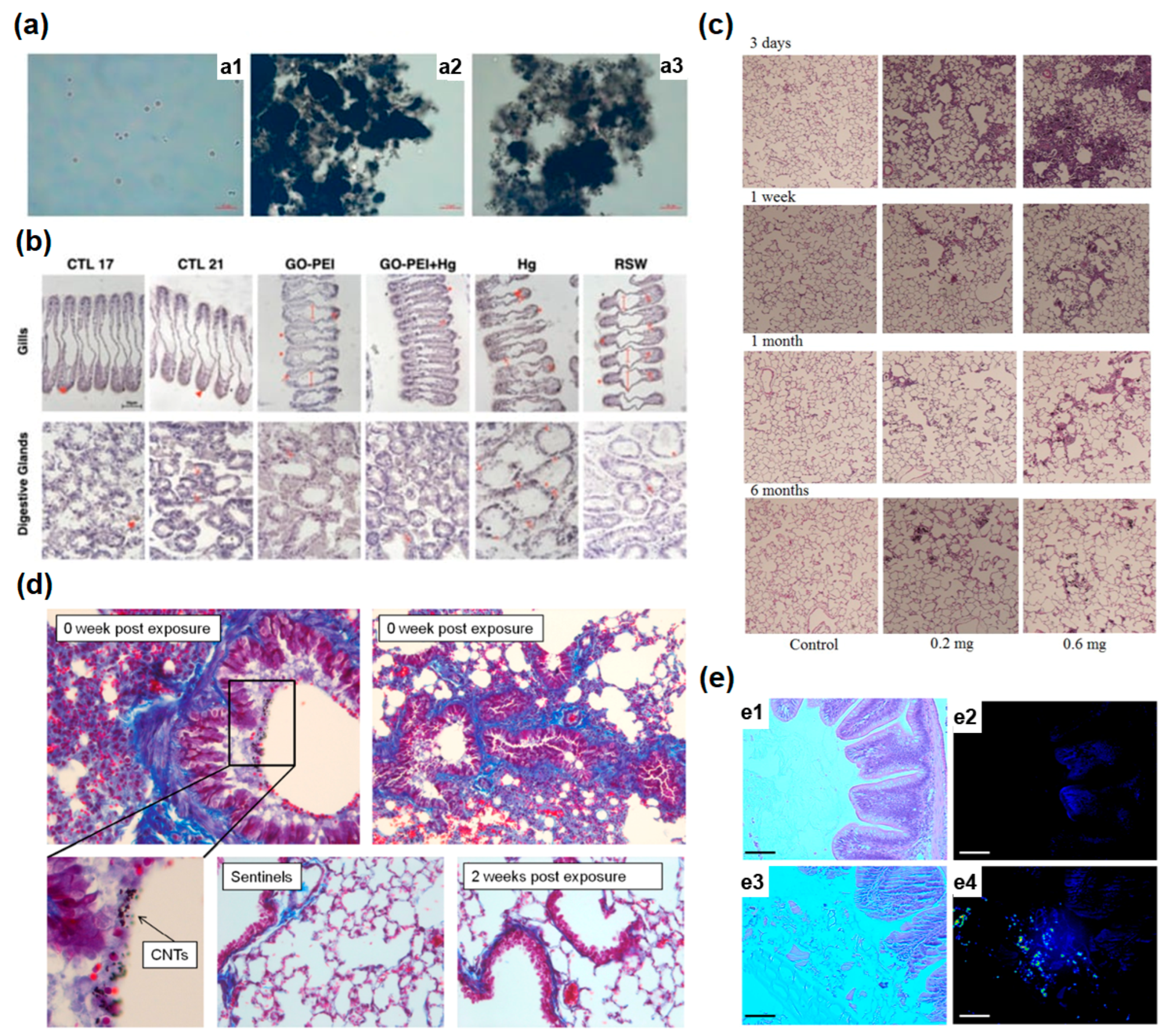Nanomaterials 13 01458 g003