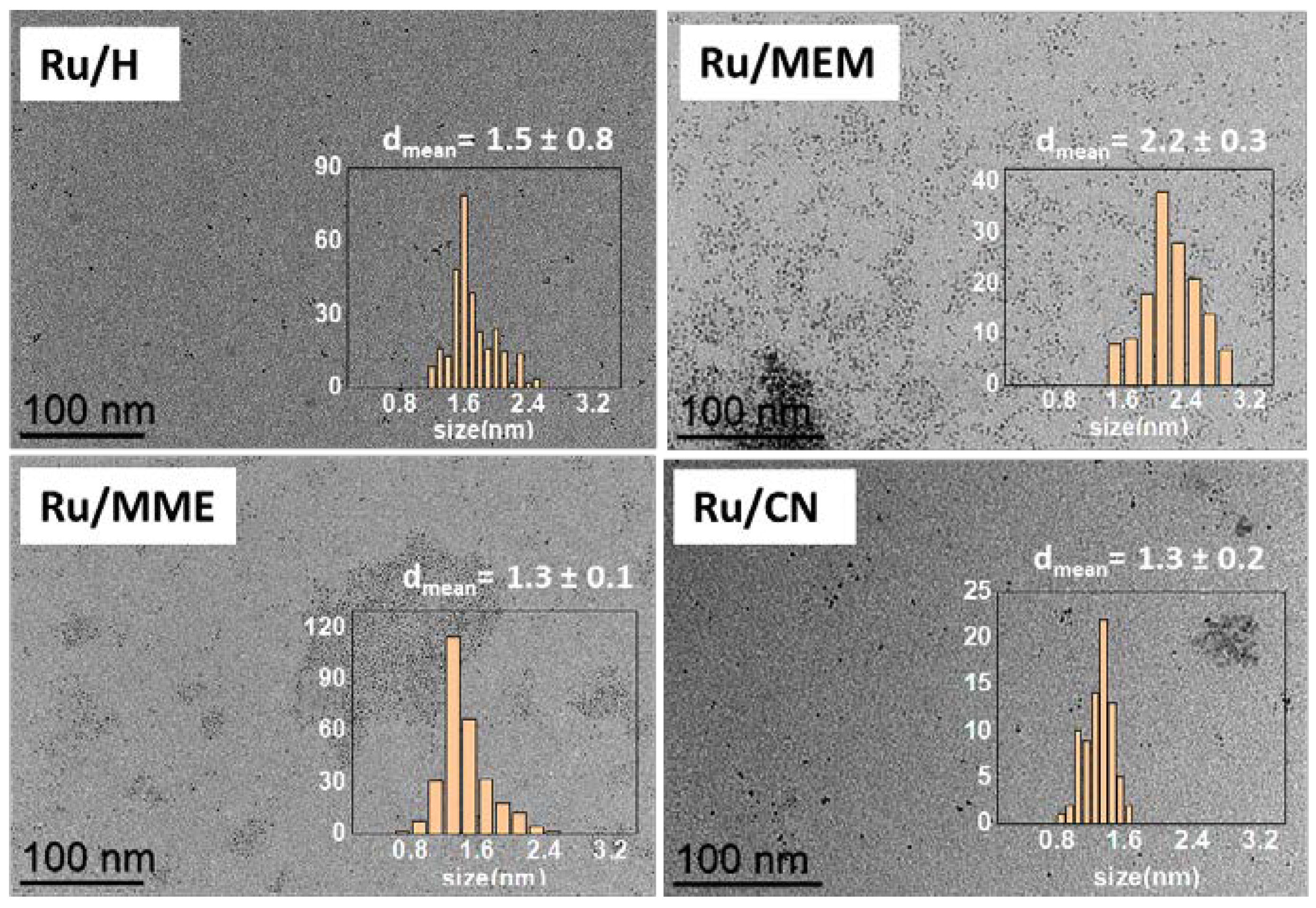 Nanomaterials 13 01459 g001