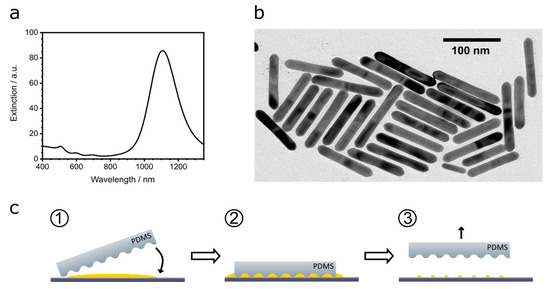 Nanomaterials 13 01466 g001