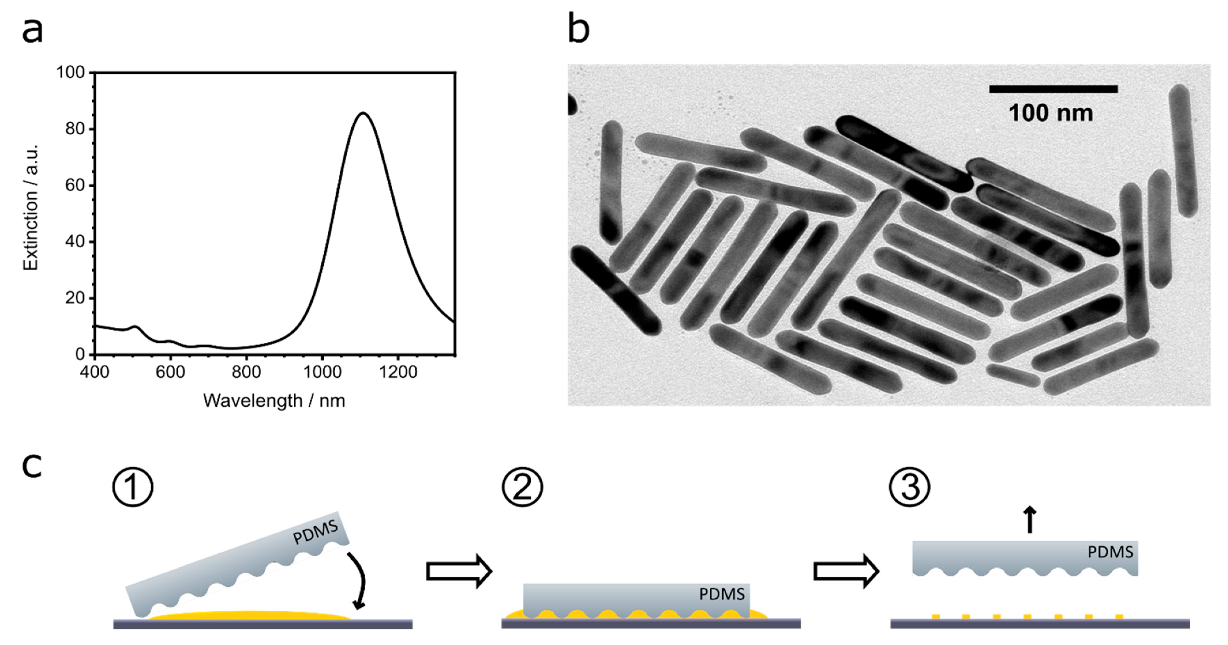 Nanomaterials 13 01466 g001
