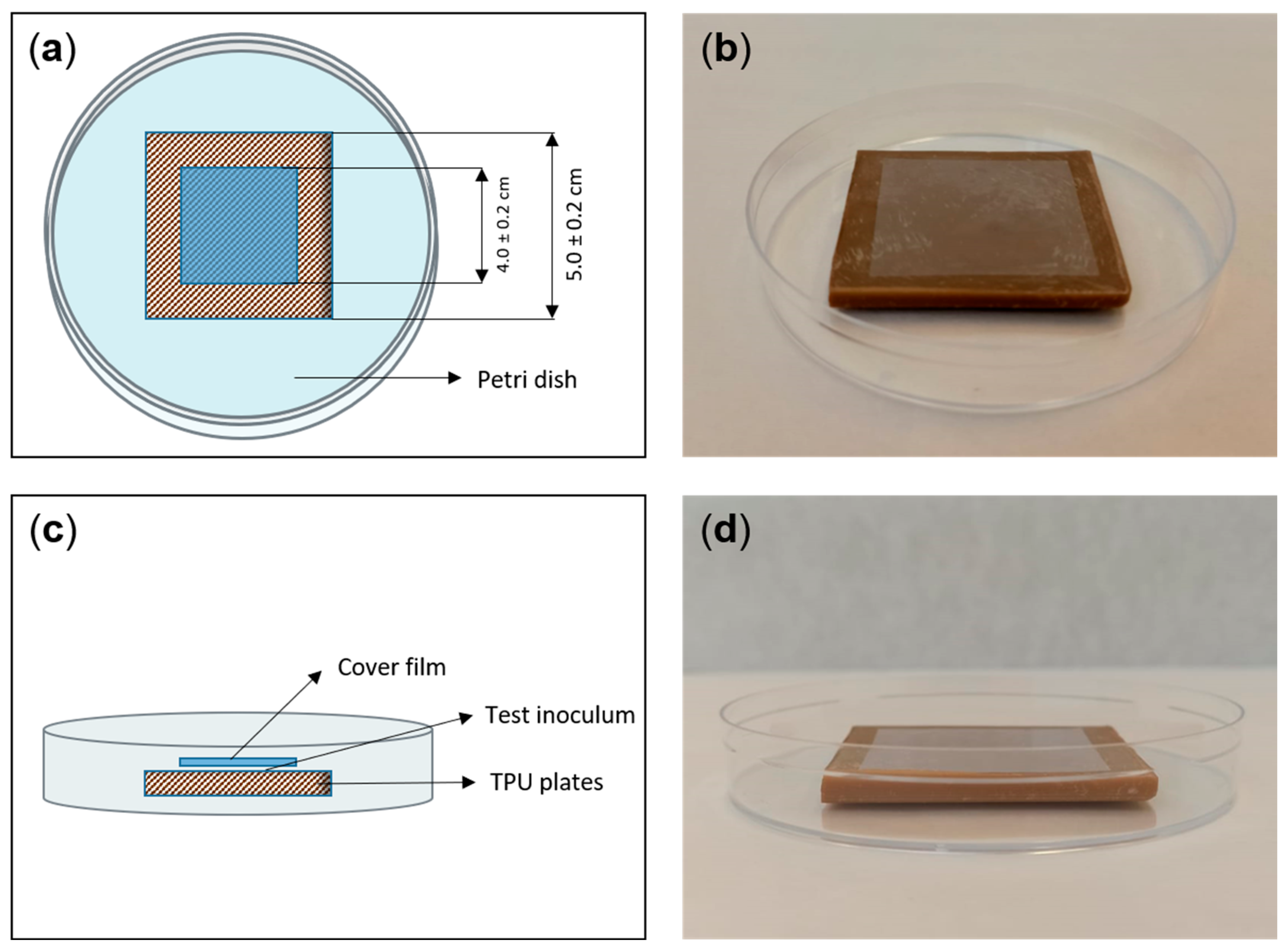 Nanomaterials 13 01467 g001 Nanomaterials 13 01467 g001