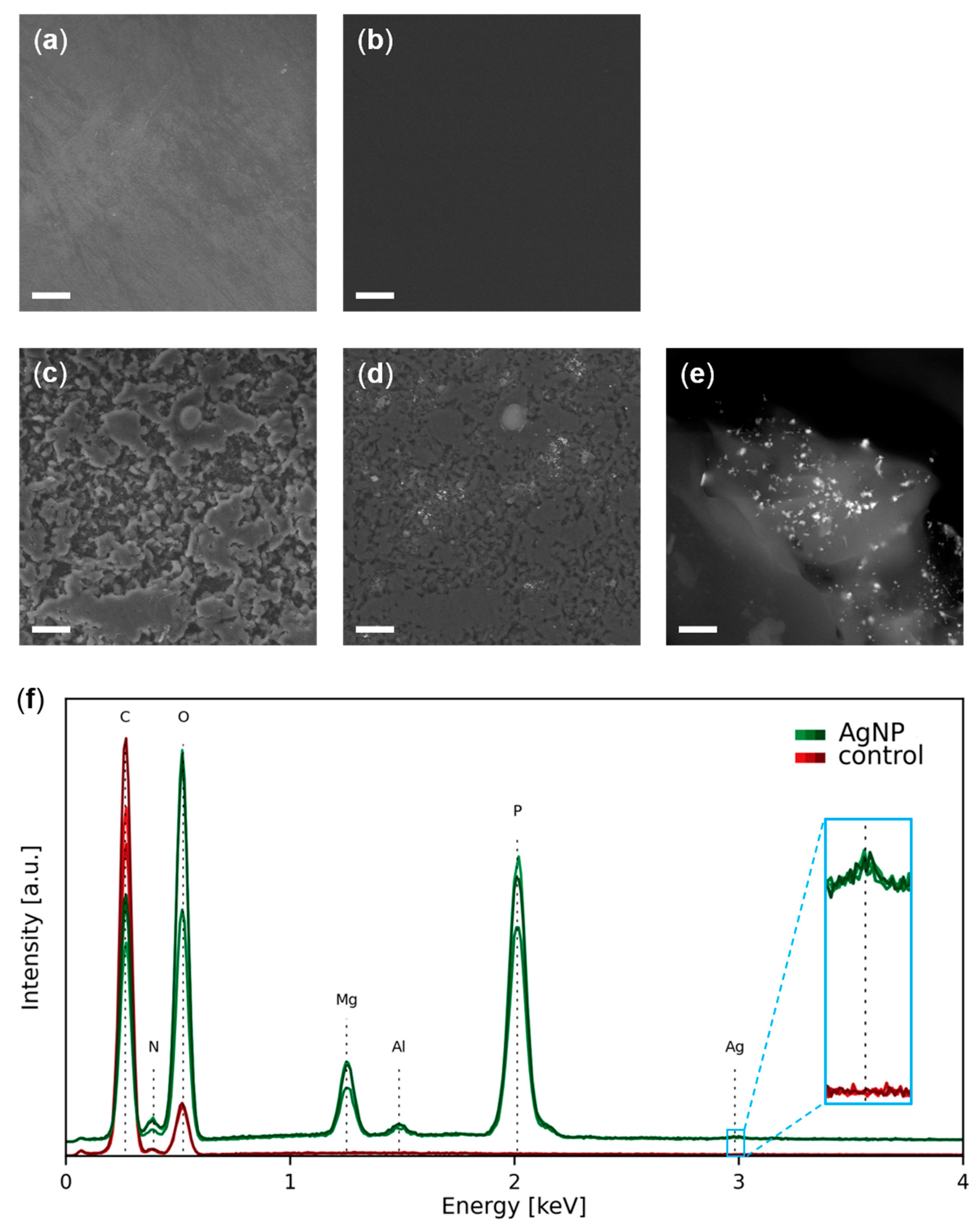 Nanomaterials 13 01467 g002 Nanomaterials 13 01467 g002