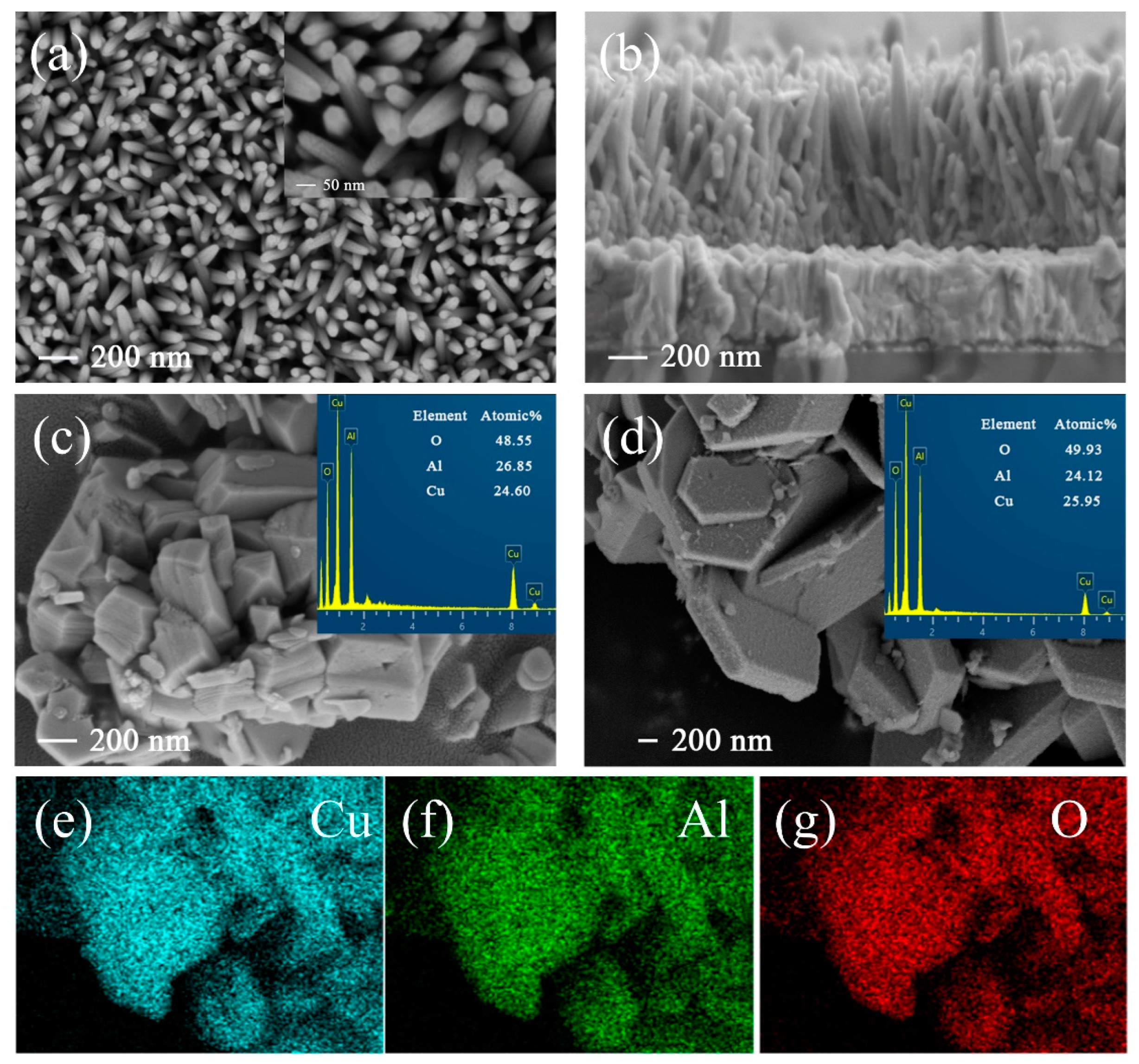 Nanomaterials 13 01472 g001