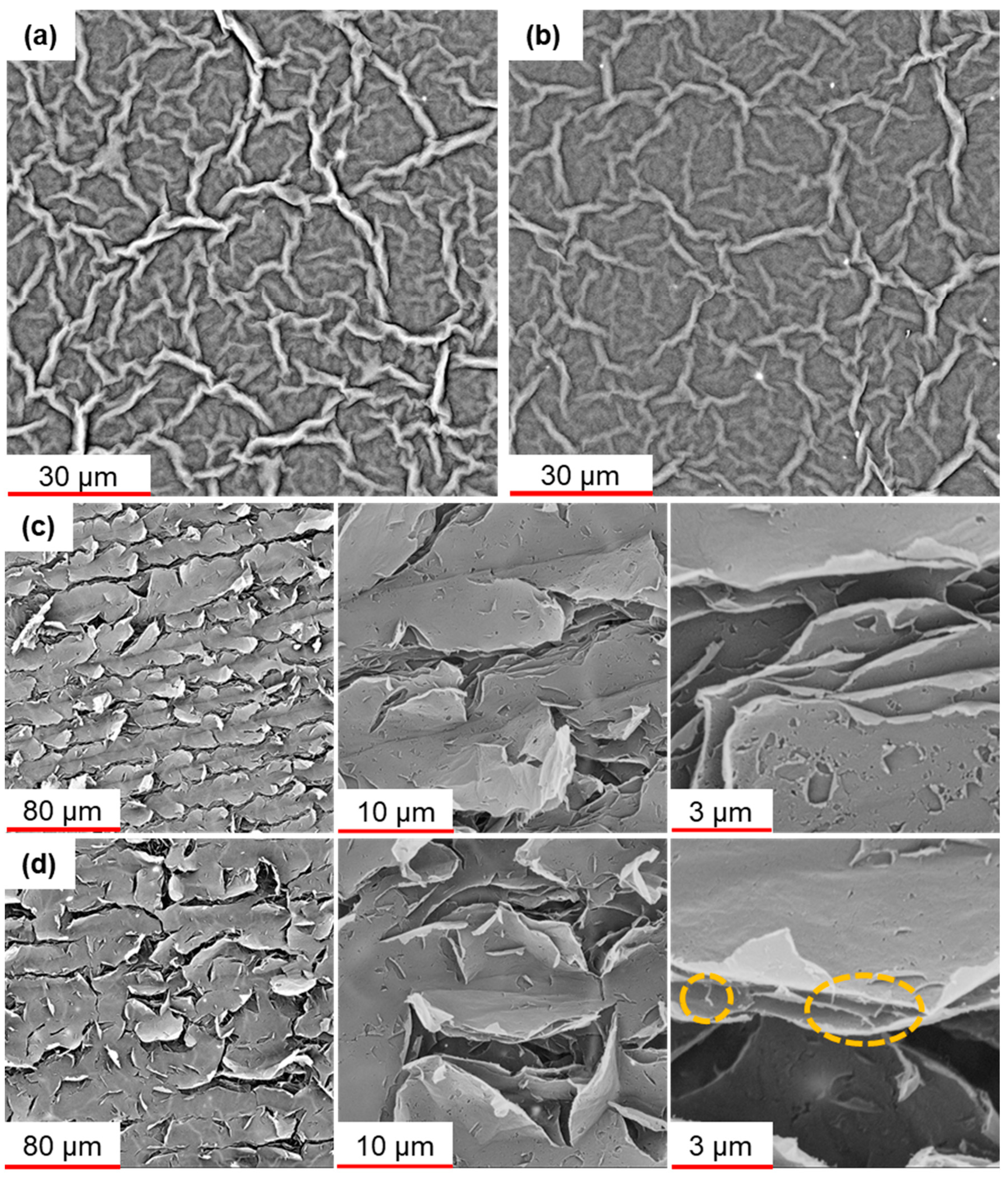 Nanomaterials 13 01473 g003