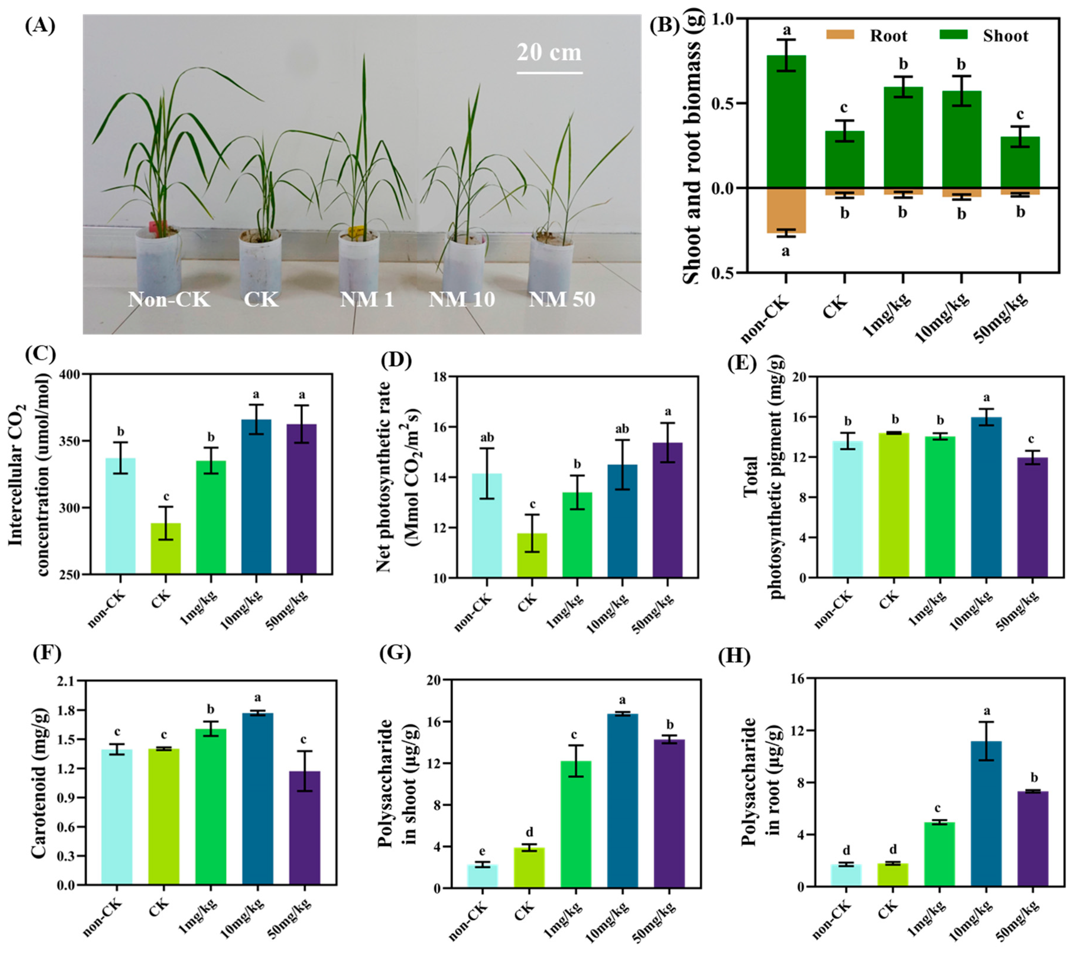 Nanomaterials 13 01484 g002 Nanomaterials 13 01484 g002