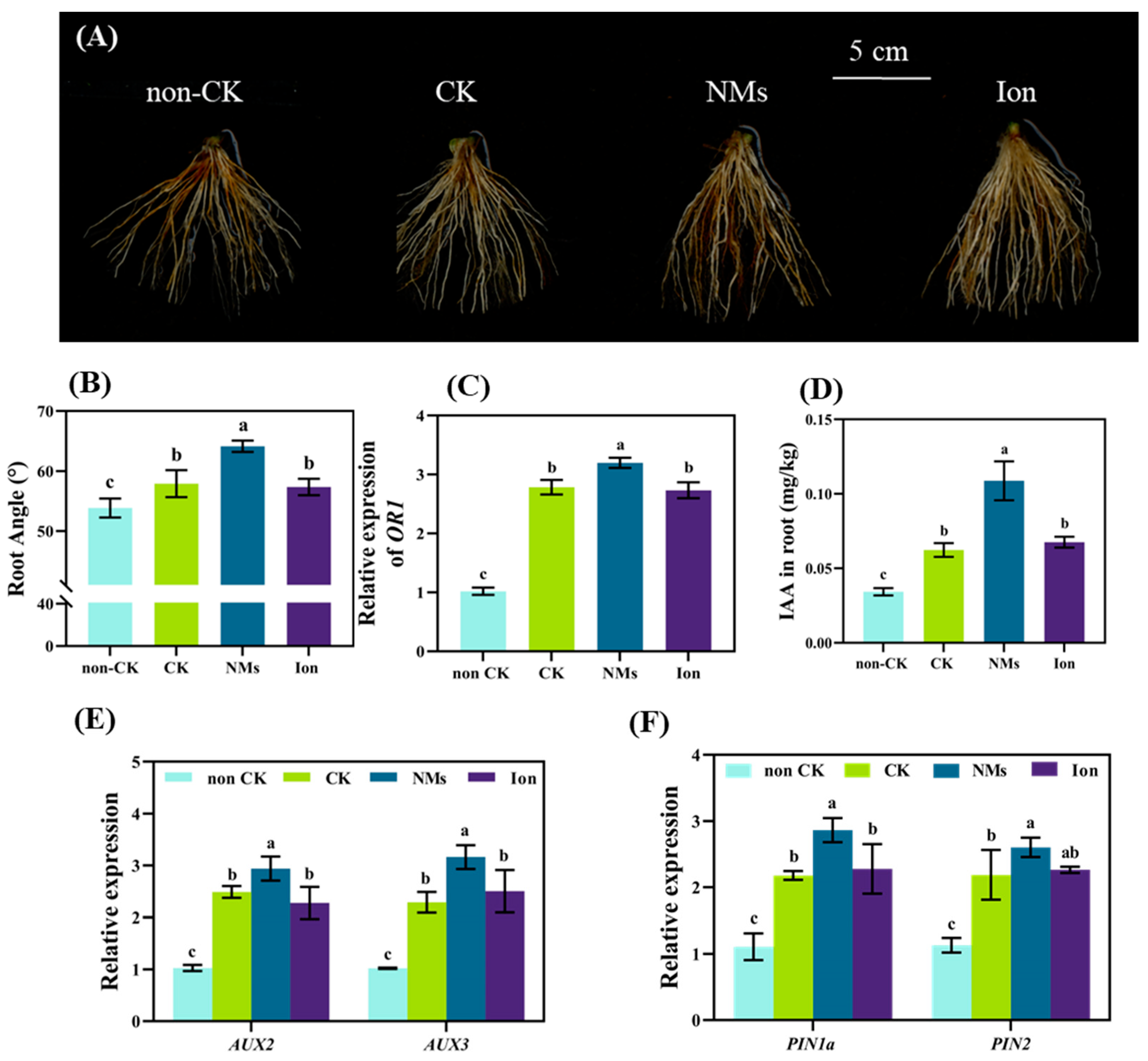 Nanomaterials 13 01484 g005 Nanomaterials 13 01484 g005